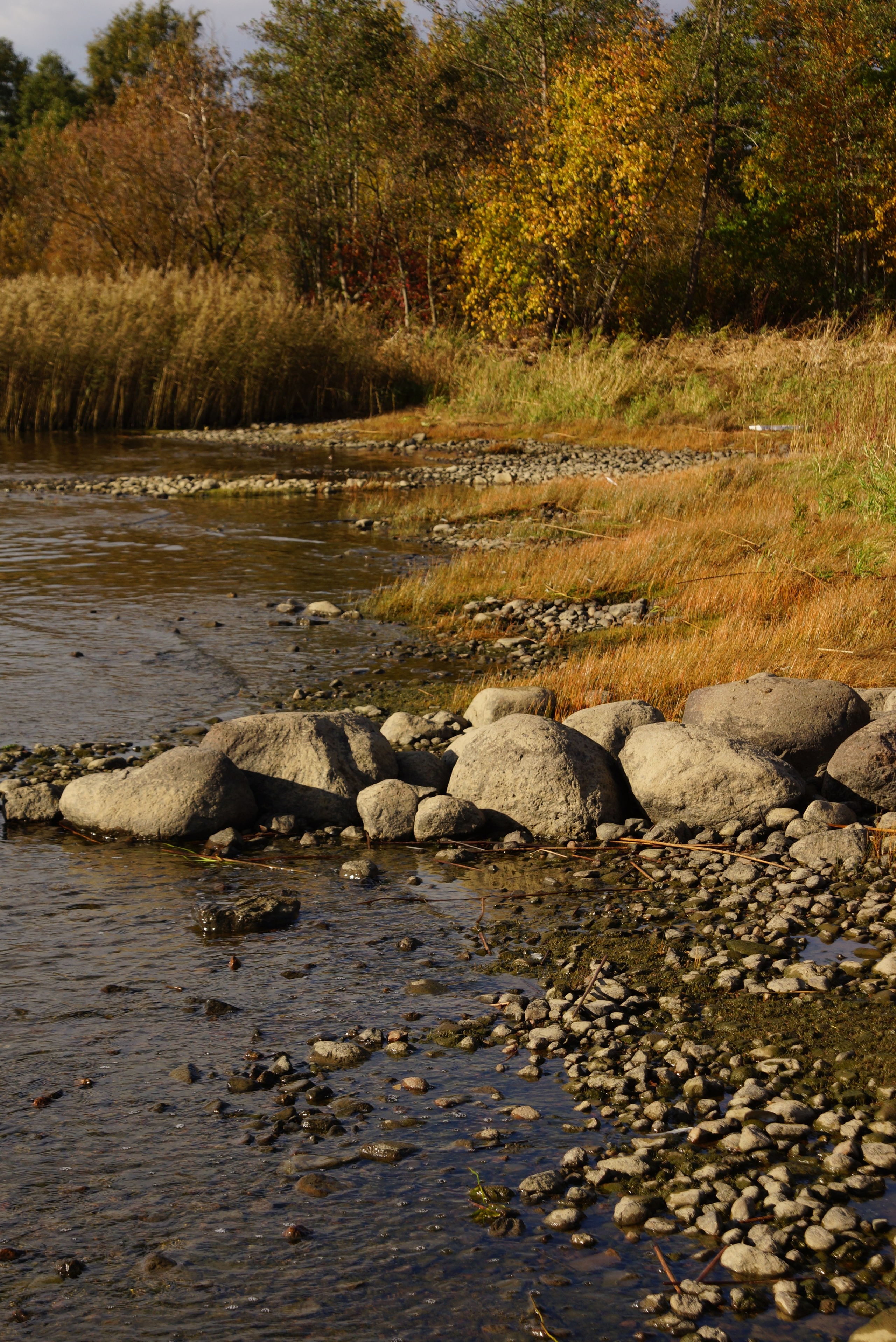 Пресеты. Фотограф Яна Болотова