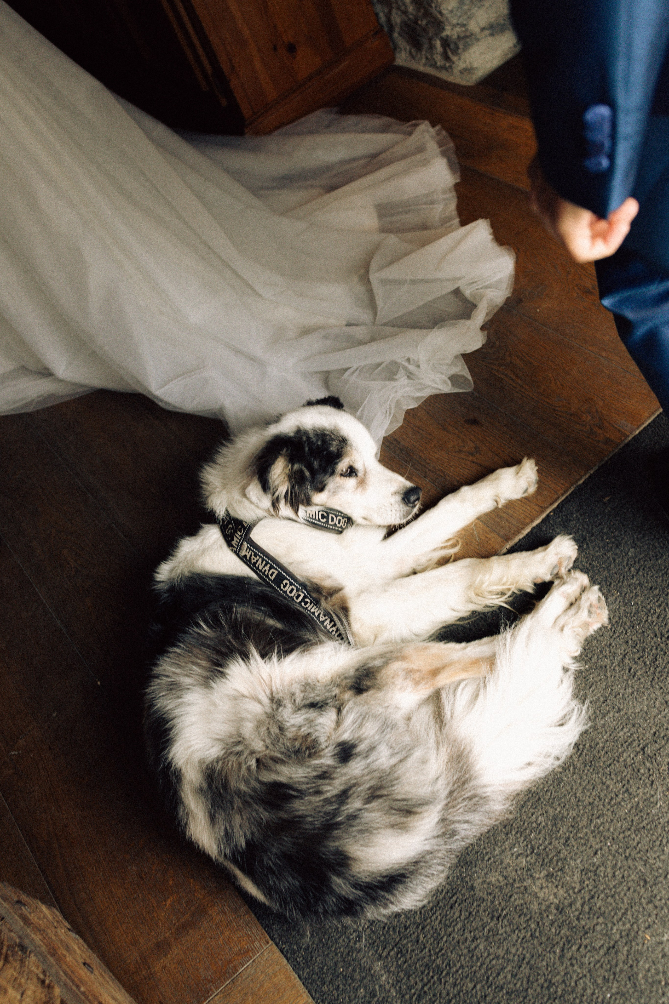 Anastasiya & Emanuele | Italian Alps. Liza Bizzaro — Italy Wedding, Love Story & Portrait Photographer in Milan, Turin, Piedmont and Across Italy