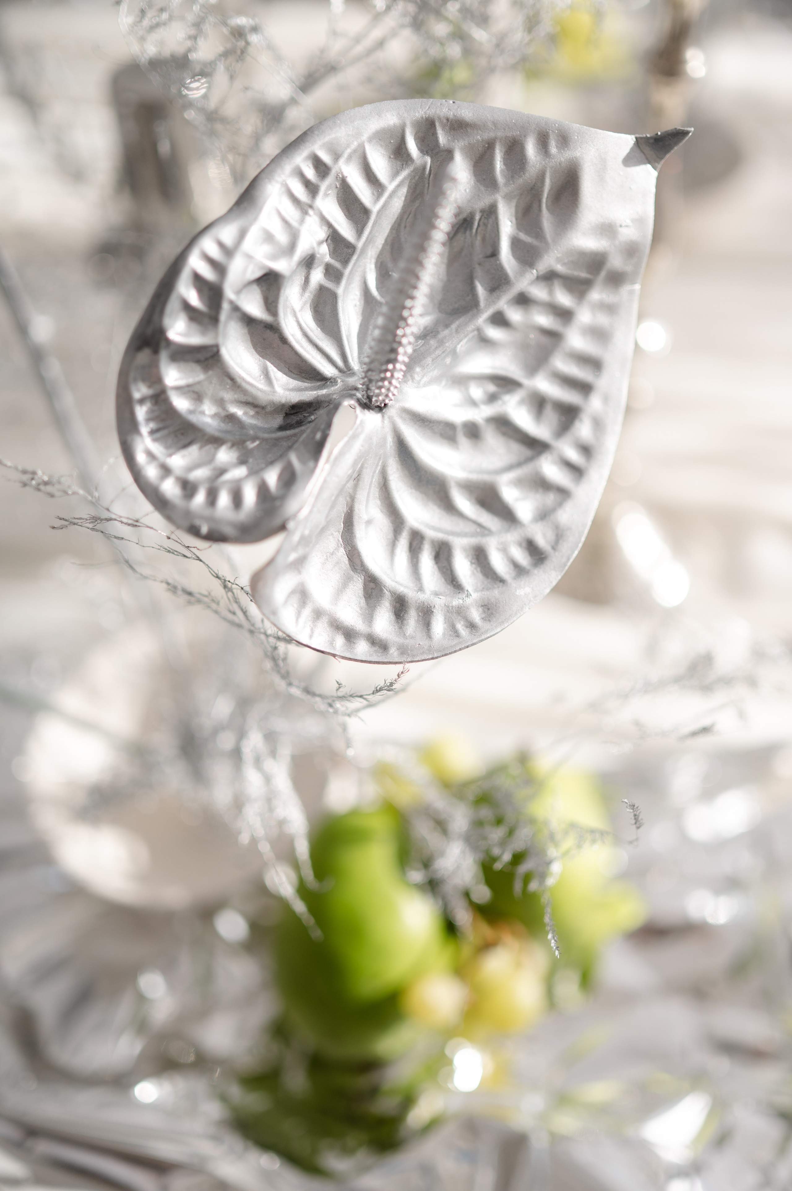 Bride with a concept silver Chrome. Alexandra Hanu Photographer