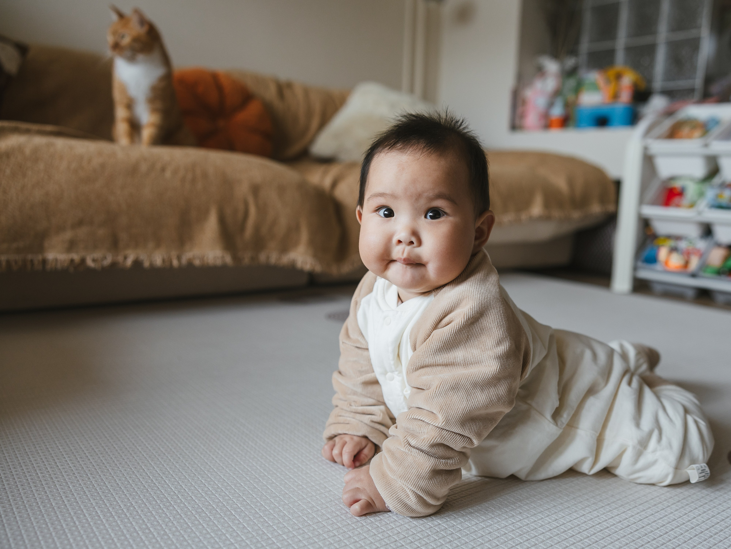 Photos of pets. Shanghai Family Photographer Dora