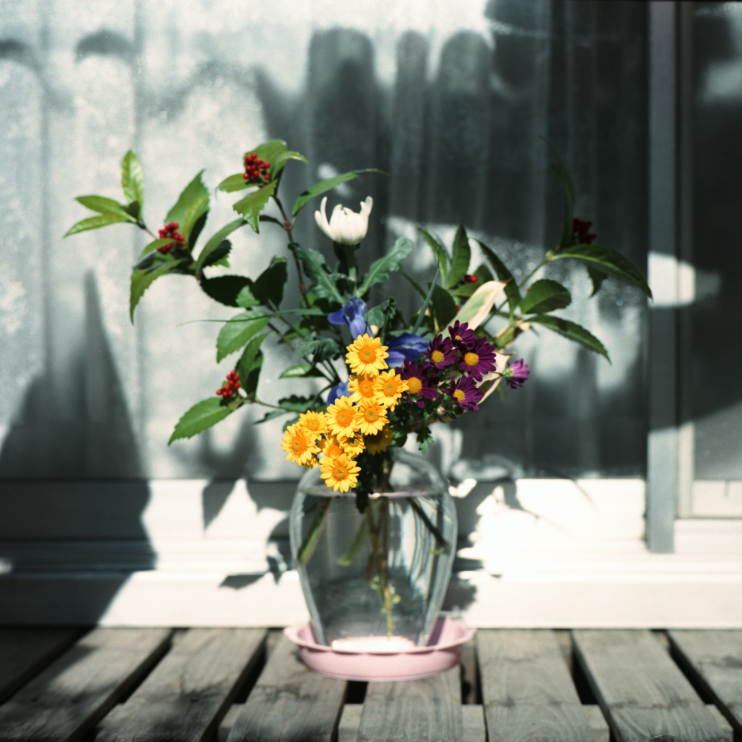 祖母とのヴァナキュラー. MT