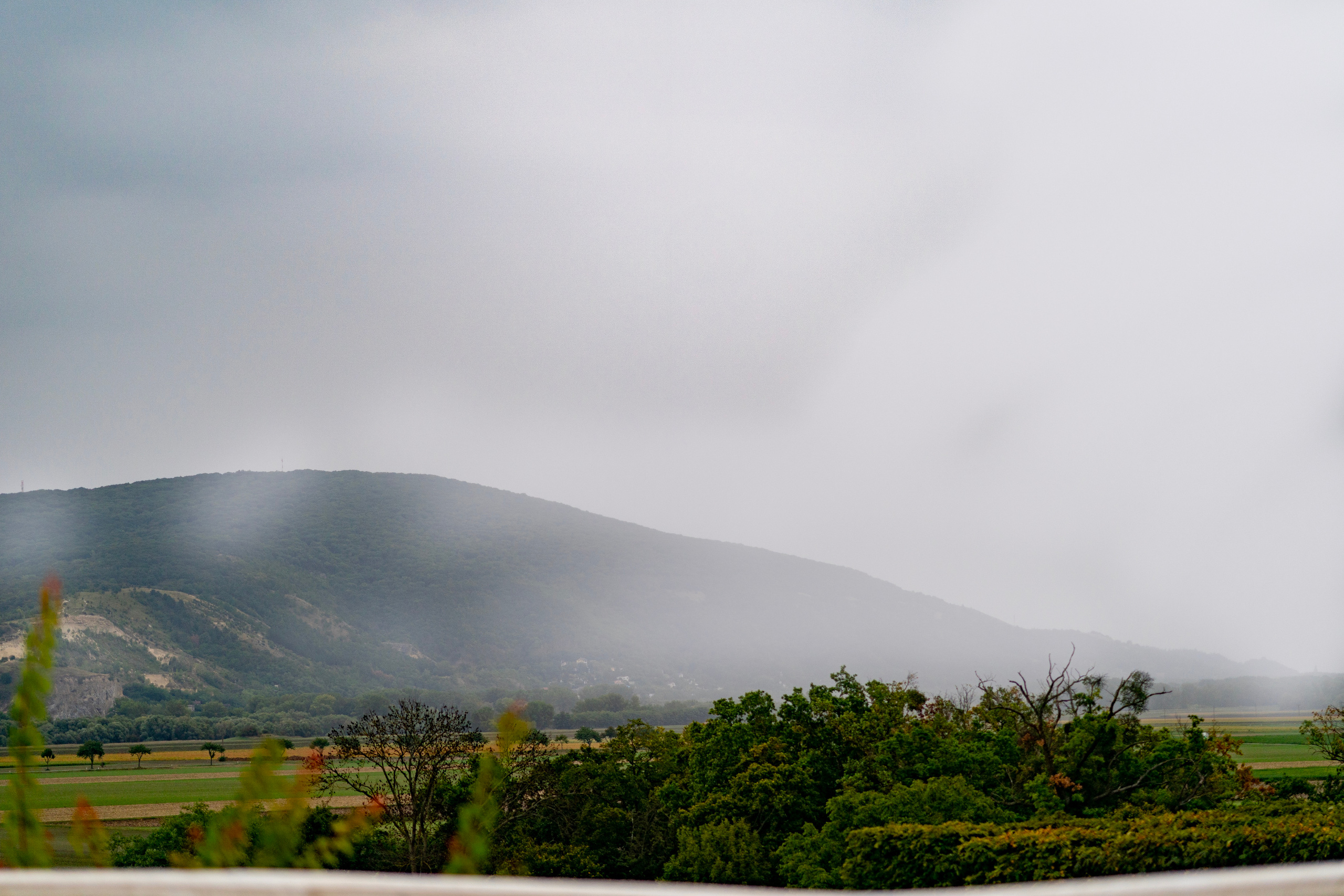 WEDDINGS. Professional garden design and photography services in London