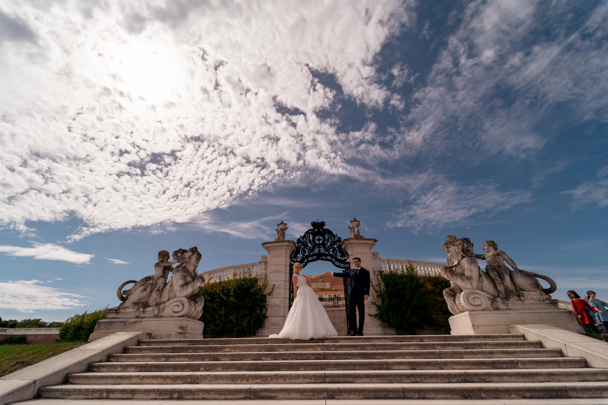 WEDDINGS. Professional garden design and photography services in London