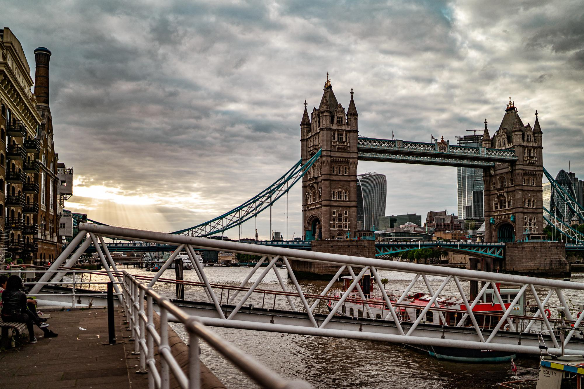 30th BD. Professional garden design and photography services in London