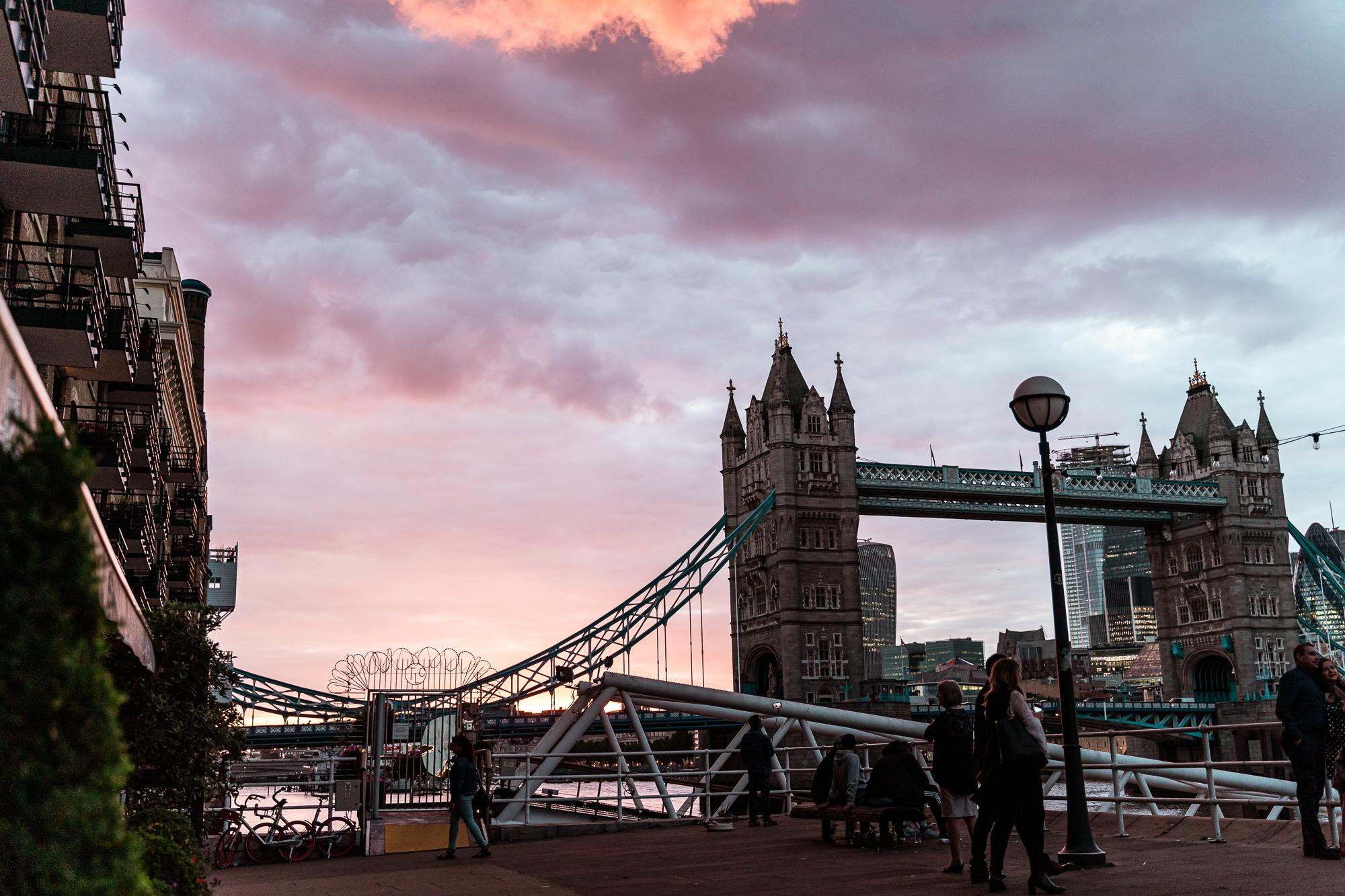 30th BD. Professional garden design and photography services in London