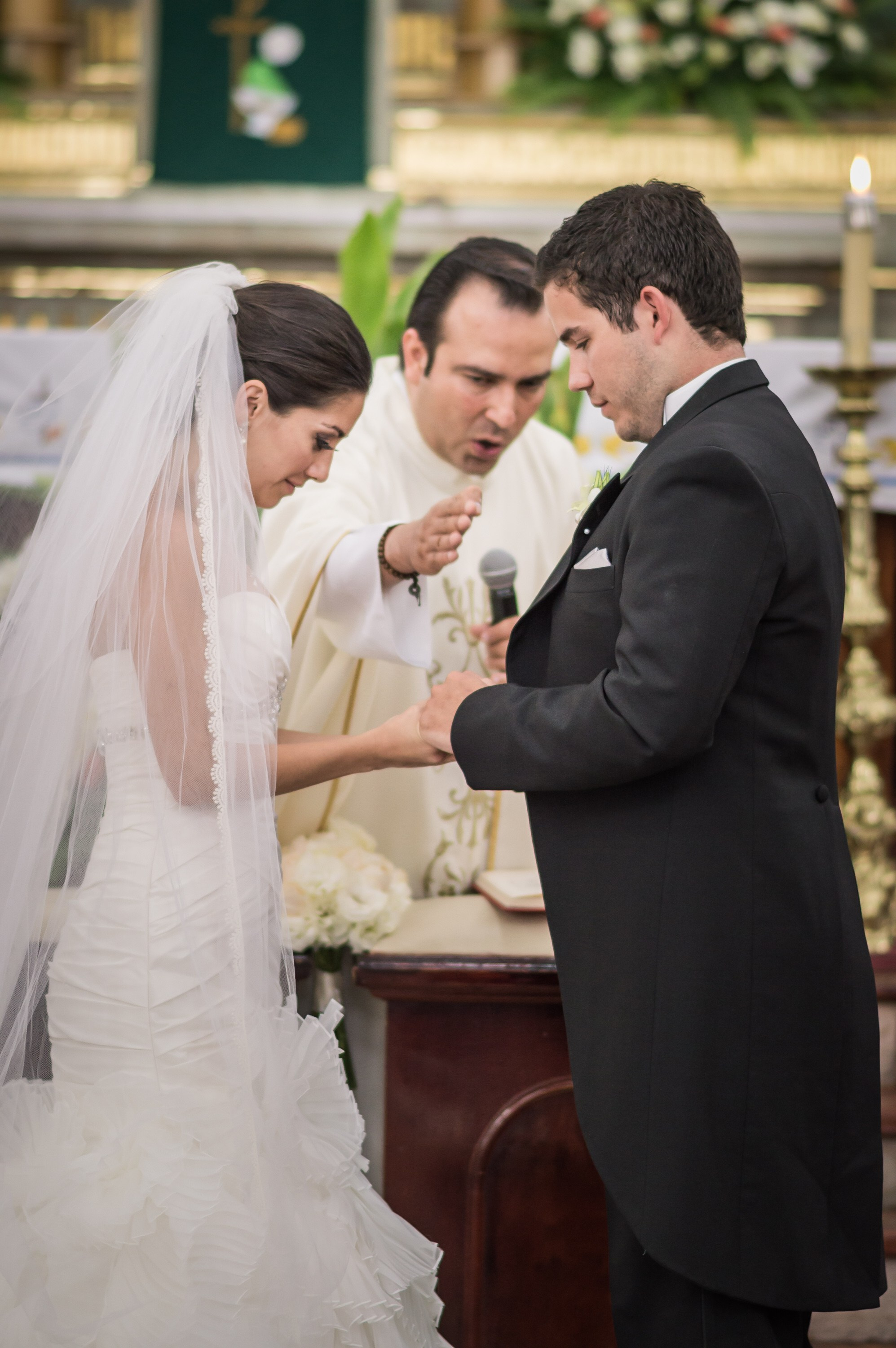 Web. Fotógrafo Profesional en Guadalajara