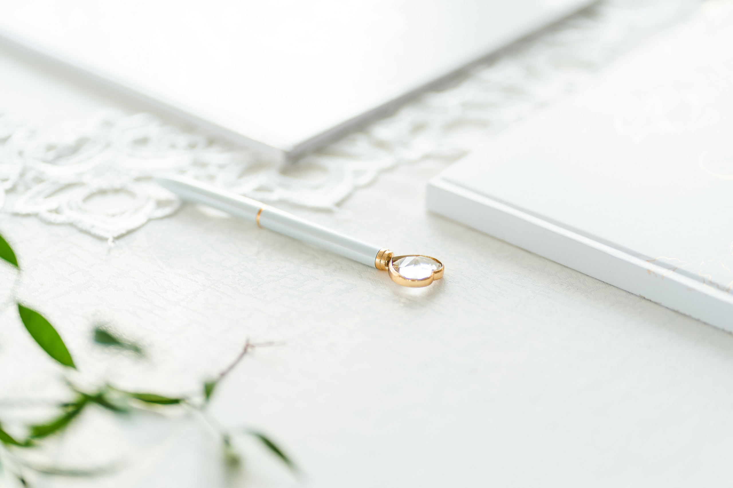 S&D. Montenegro photographer and videographer