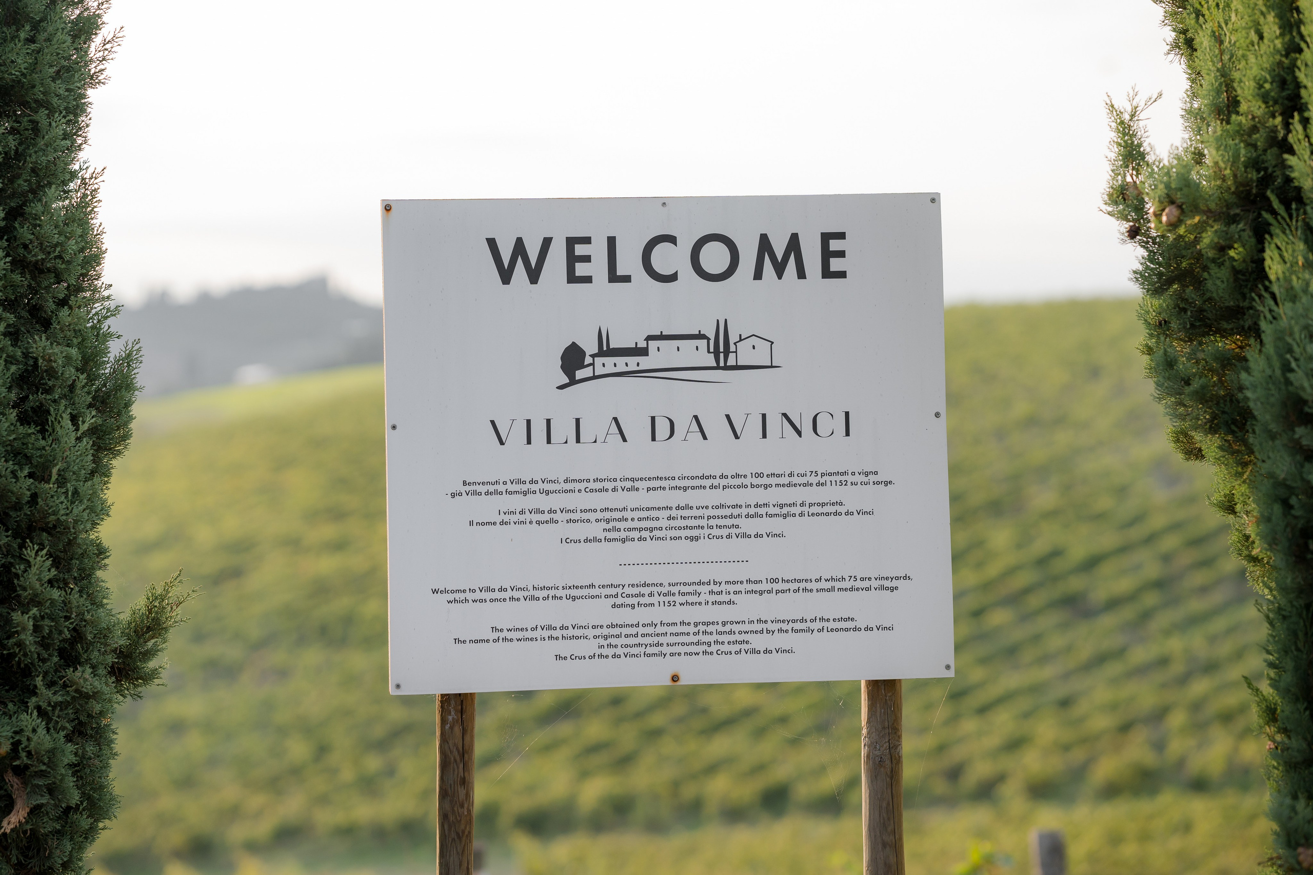 Dom&Ally. Весільний фотограф Вікторія Саврук