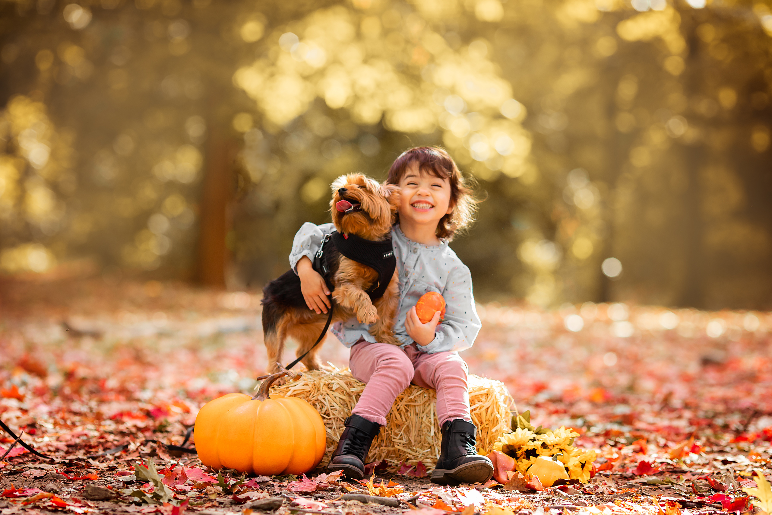 SMASH CAKE & KIDS. Professional Photography in Austin, TX — Family, Newborn, Maternity
