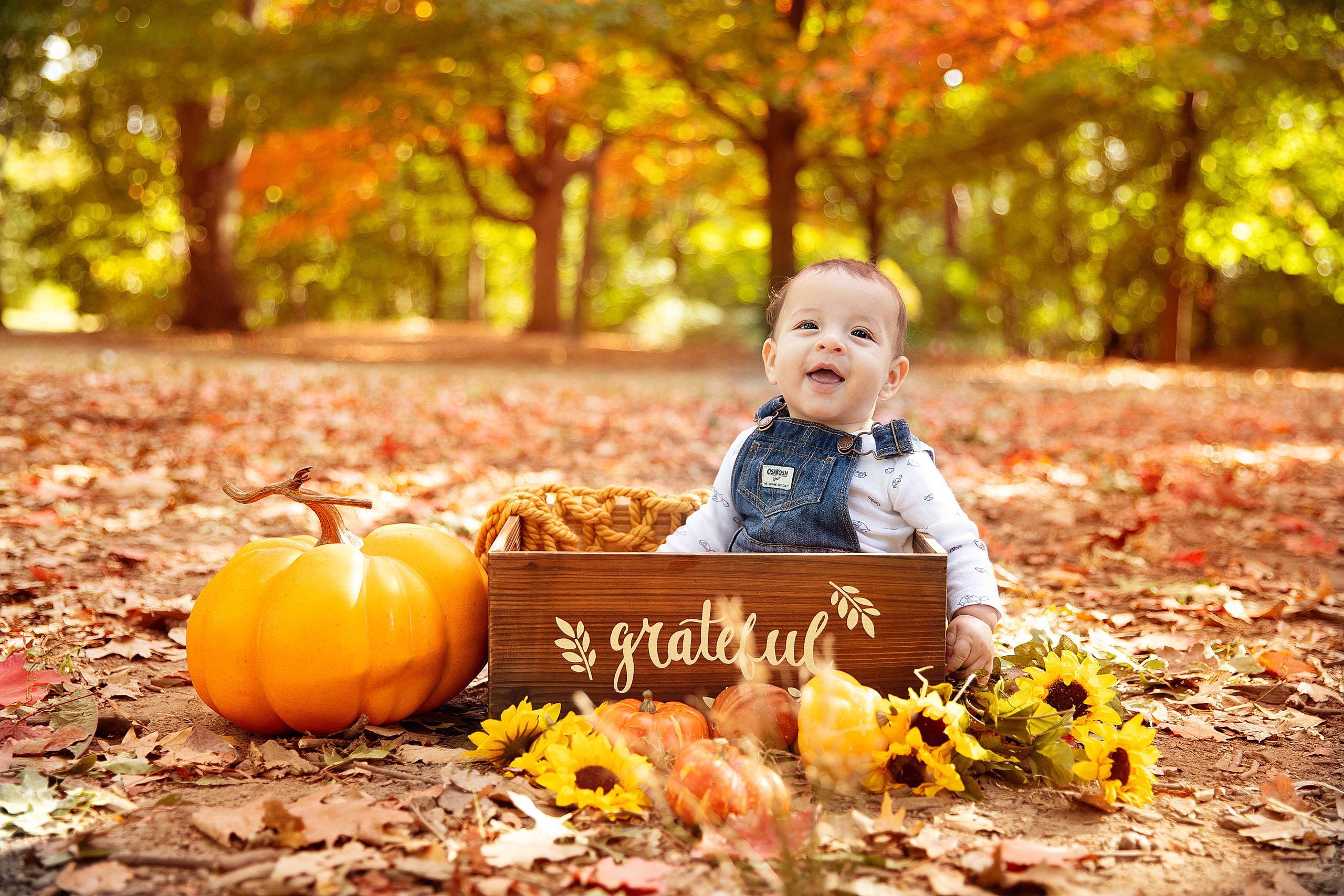 SMASH CAKE & KIDS. Professional Photography in Austin, TX — Family, Newborn, Maternity