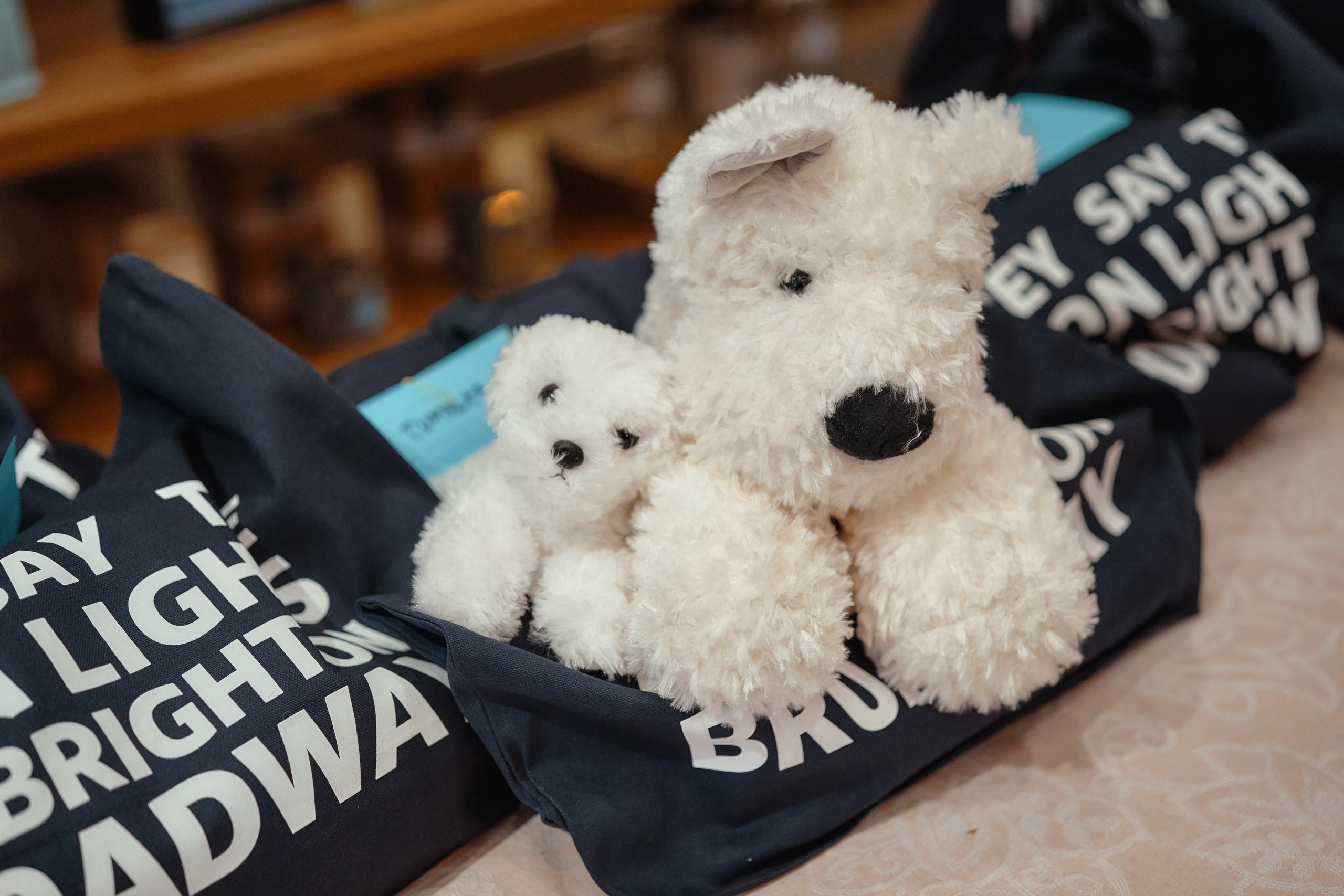 THE QUEEN OF VERSAILLES EVENT. Professional Wedding and event photographer USA New York