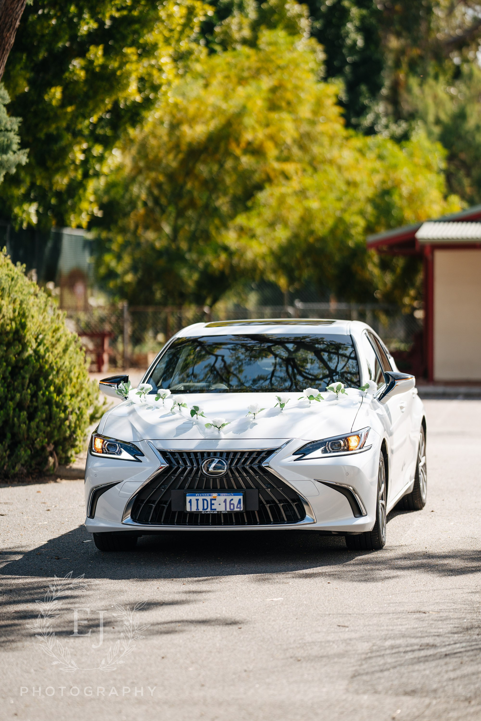 Shanice & Darren — Ambrose Estate. Emma Joy Photography