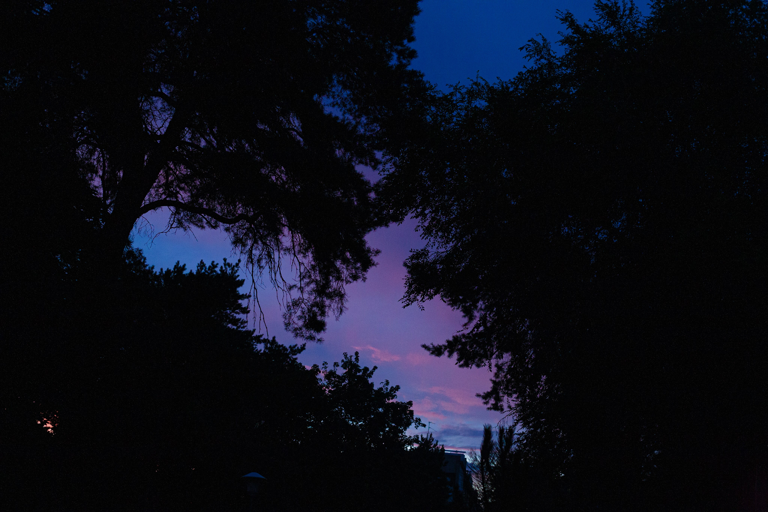 EXHIBITION. Lero Photographer and a set designer|individual custom portrait and advertising photography in Zutphen