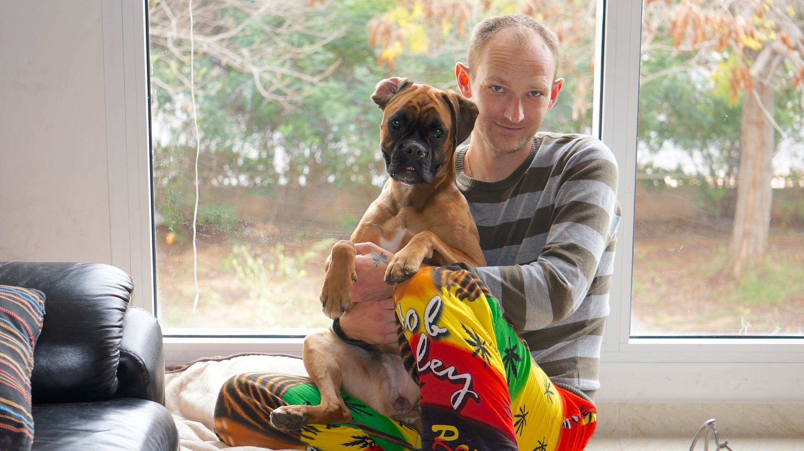 My ״Star״ Boxer Dog