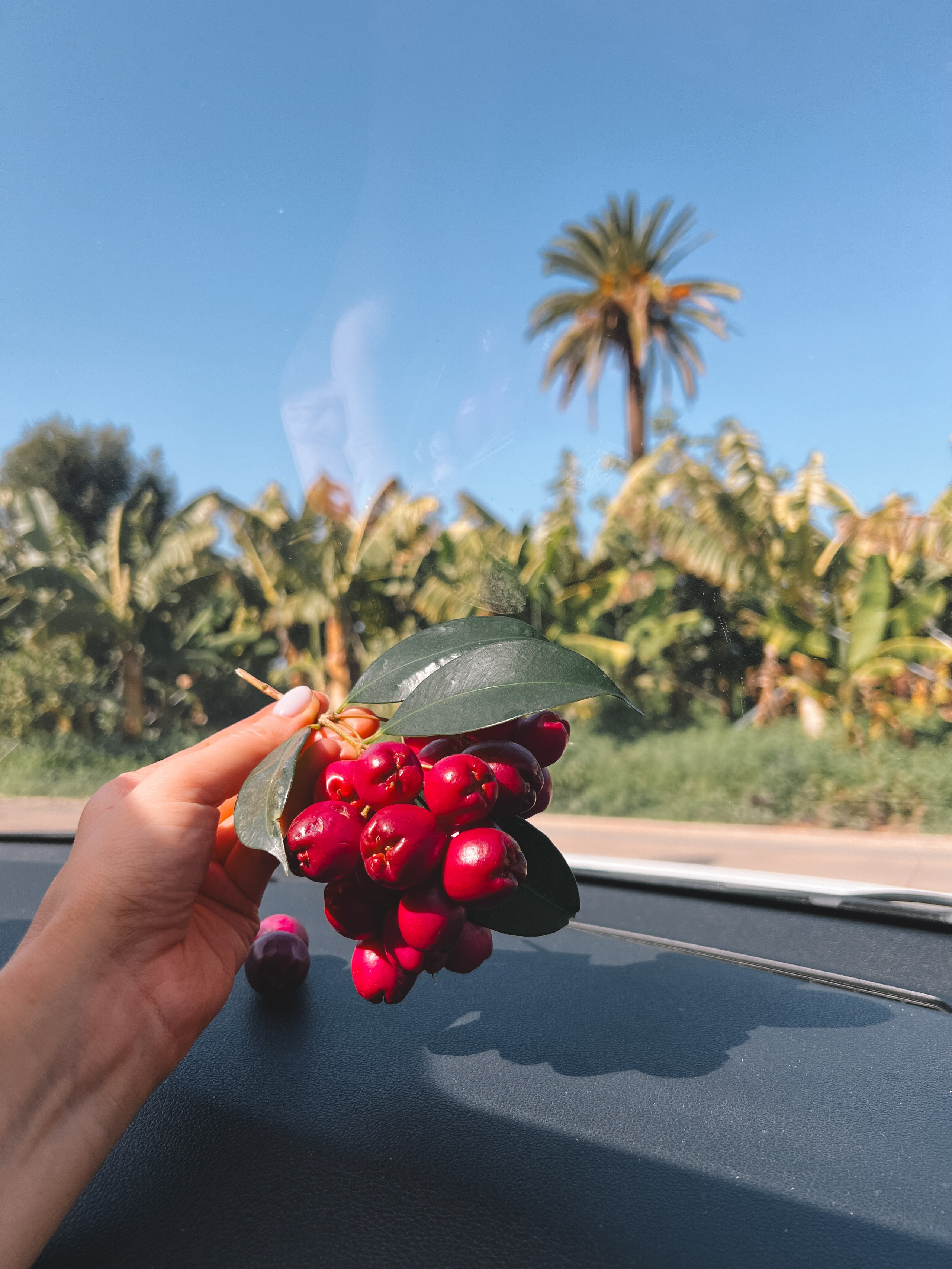 Tenerife. Ivlianna Travels — travel blog with photography tips