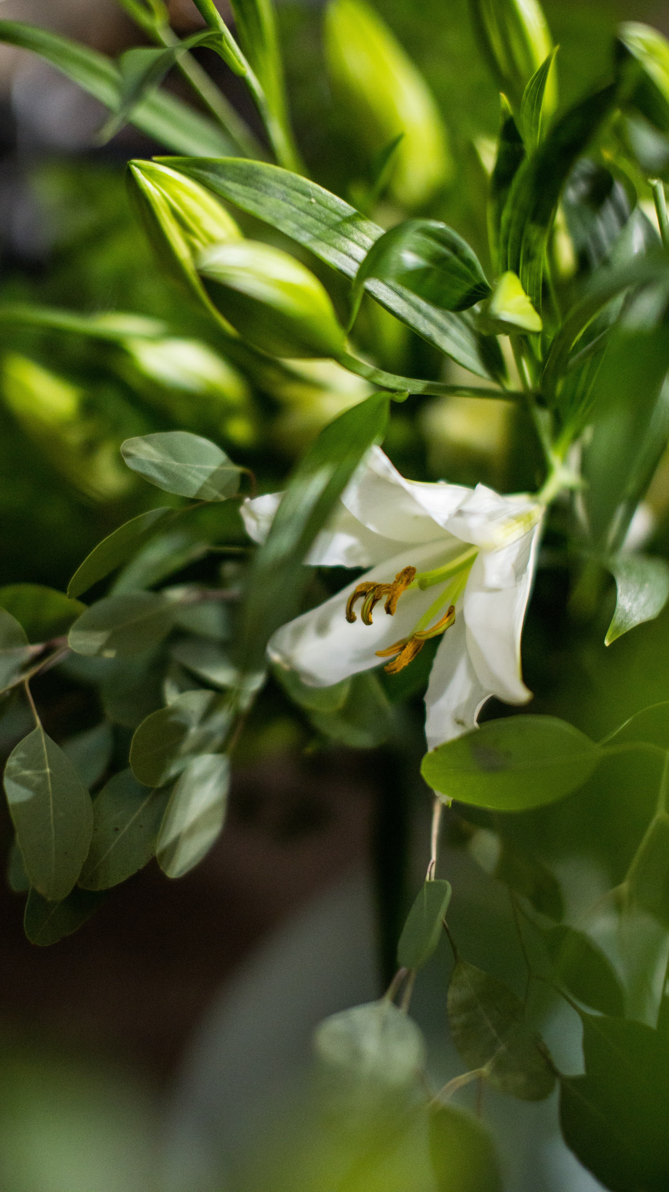 Flowers decor. Сімейний, дитячий та репортажний фотограф з Києва