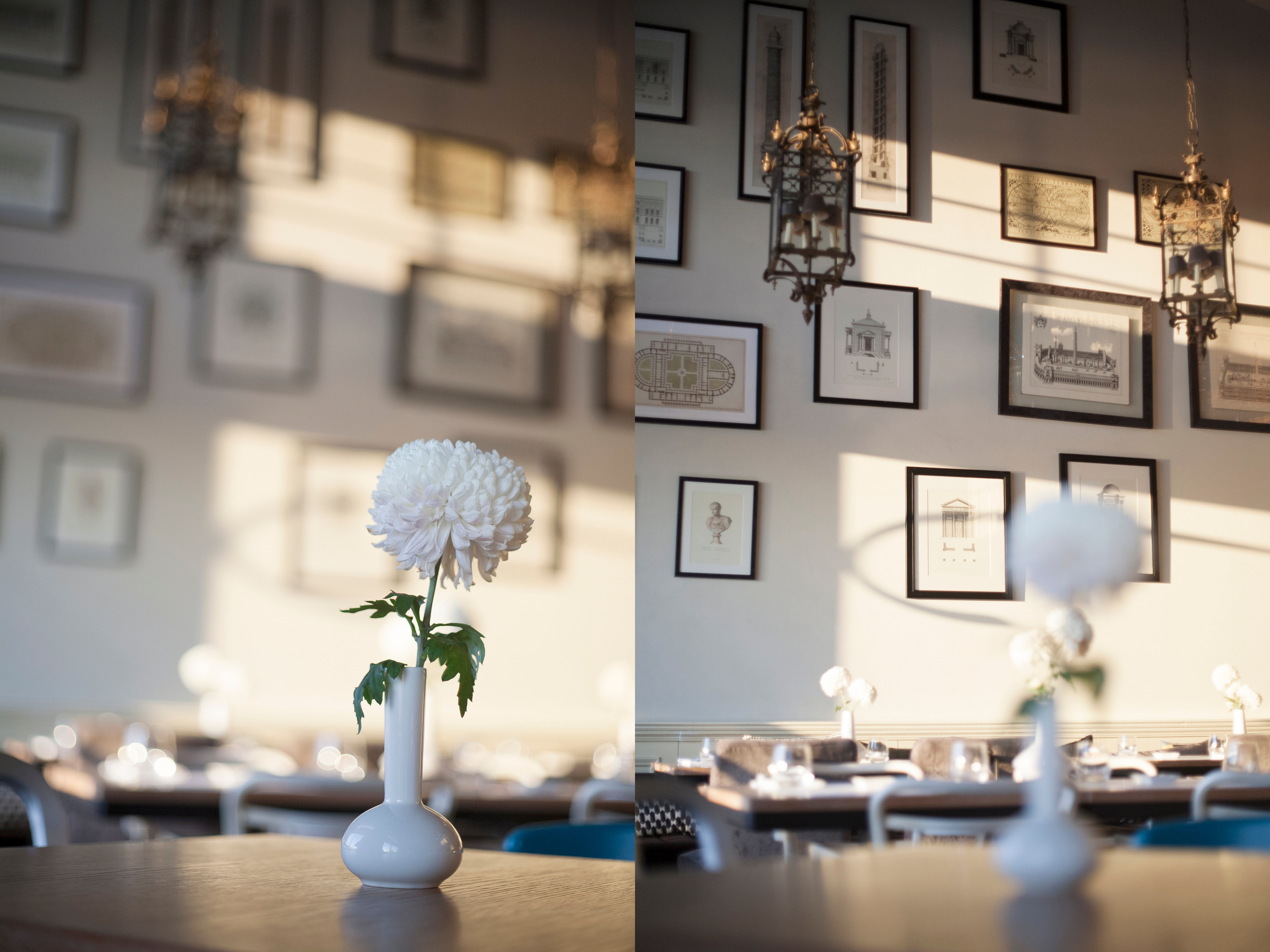 Sofa Restaurant, fine dining in Belgrade. Mark Smilyanic | Portrait and Adventure Photographer from Belgrade
