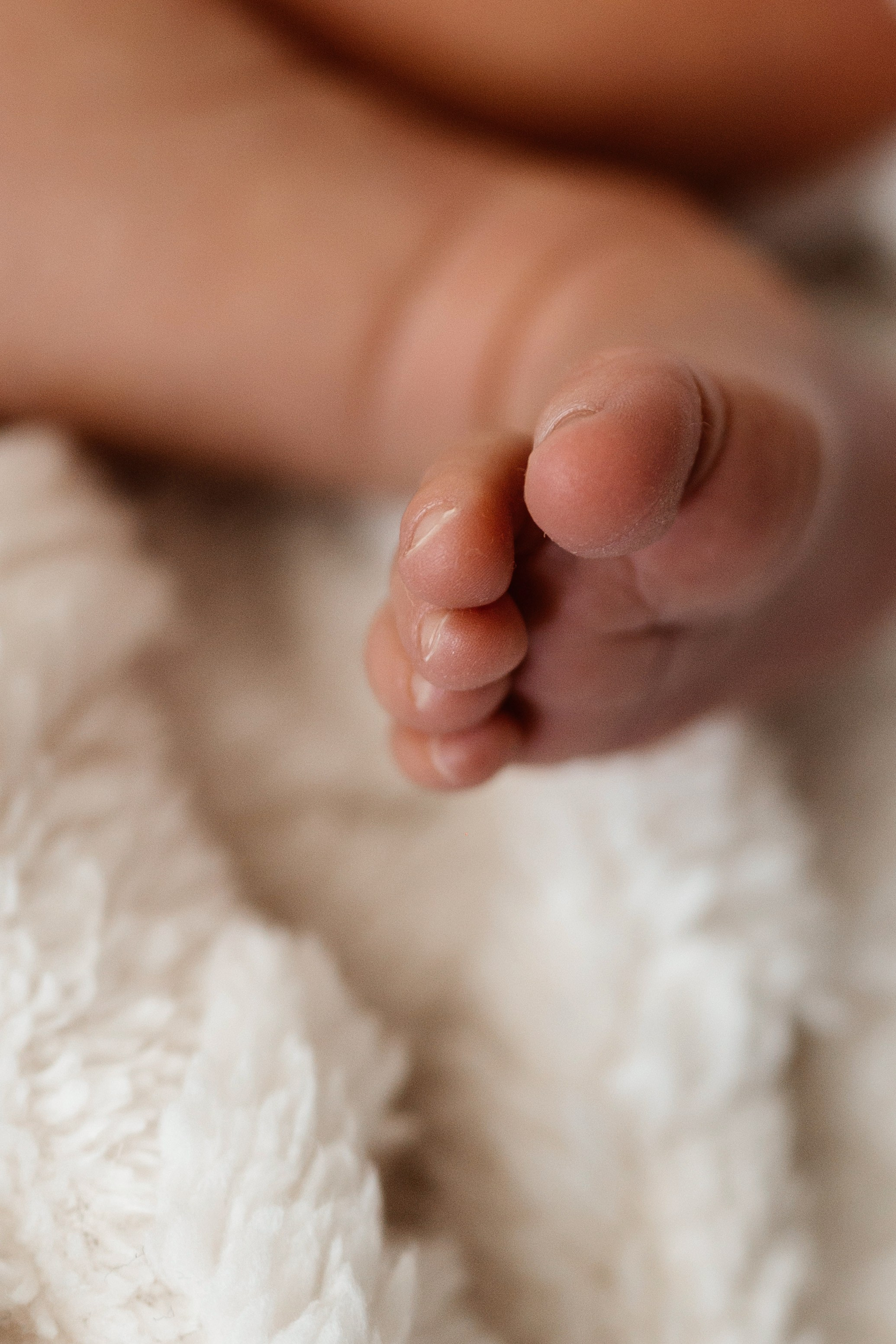 Vaniușa | primele zile de viață. Home