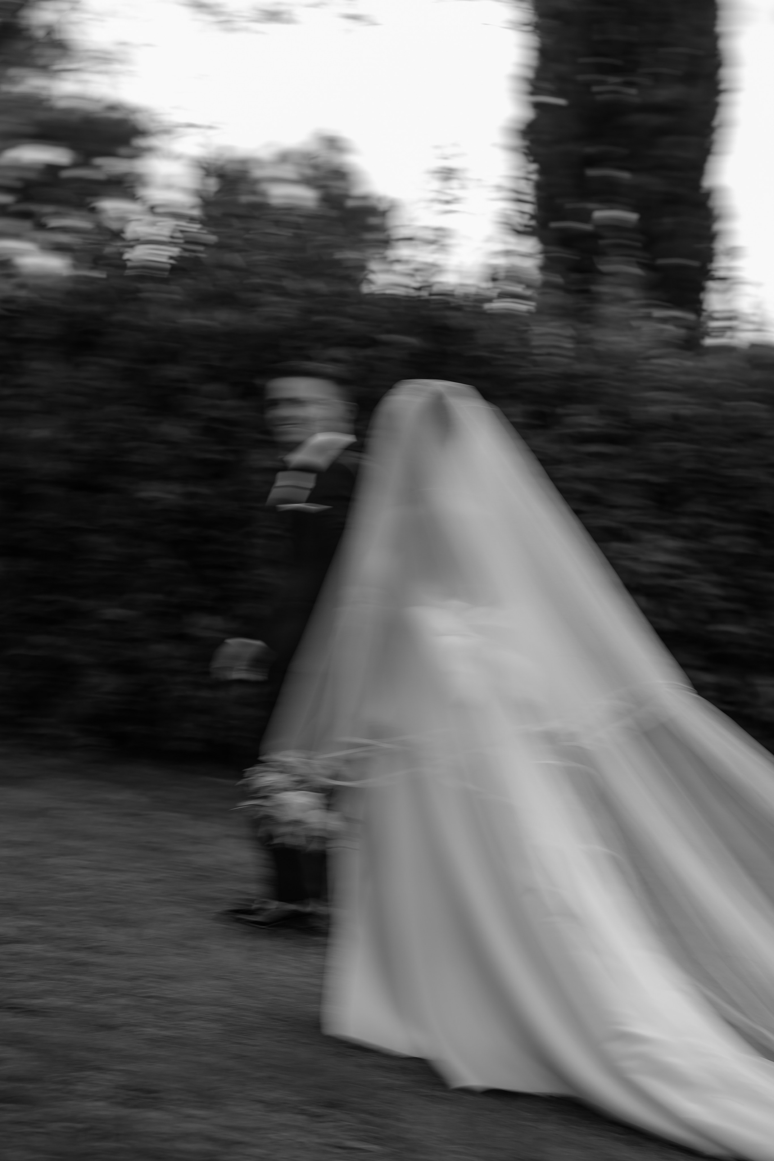 Dom&Ally. Весільний фотограф Вікторія Саврук