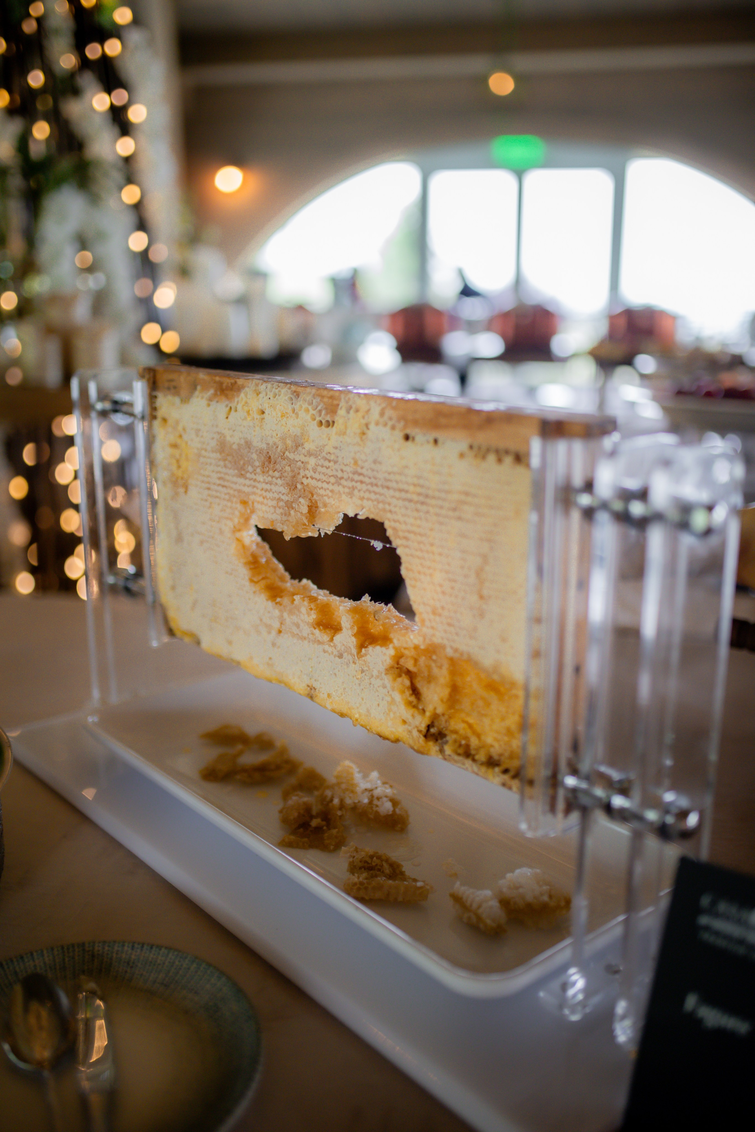 Casa Timis. Patricia Morenci — Mountain Adventures for the Wild at Heart