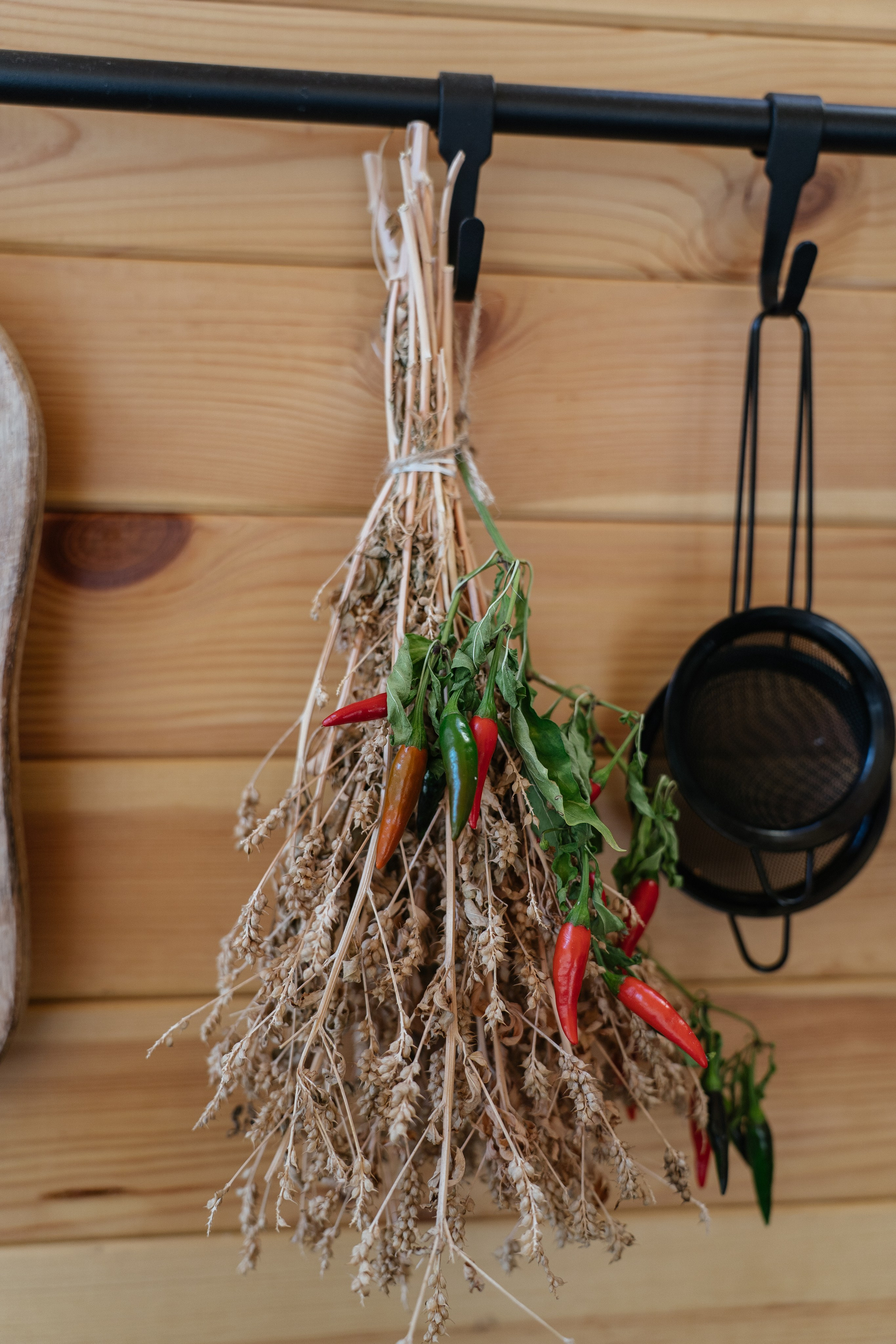 Airbnb. Patricia Morenci — Mountain Adventures for the Wild at Heart