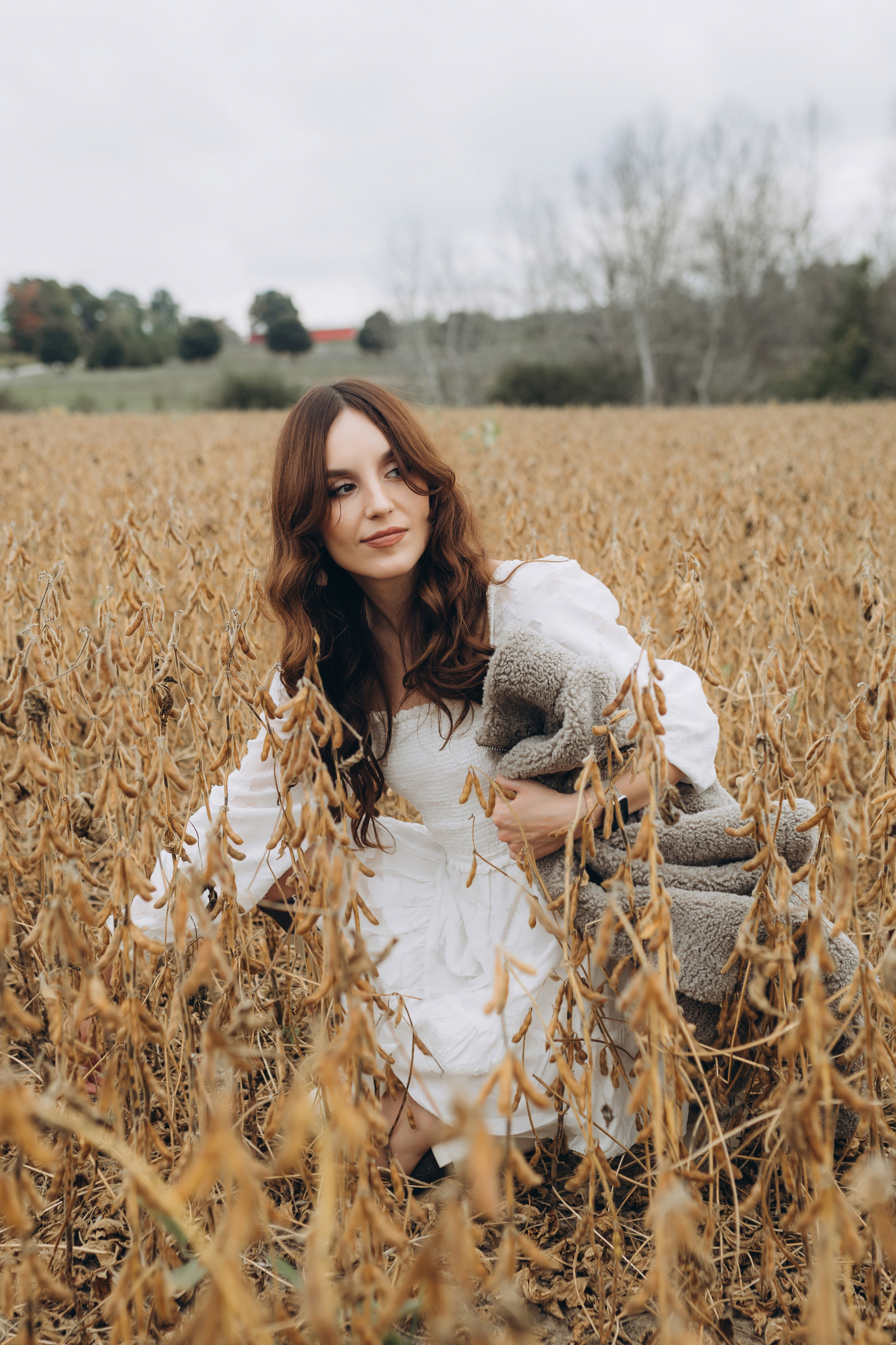 Alpacas Farm. Chernenko.photography