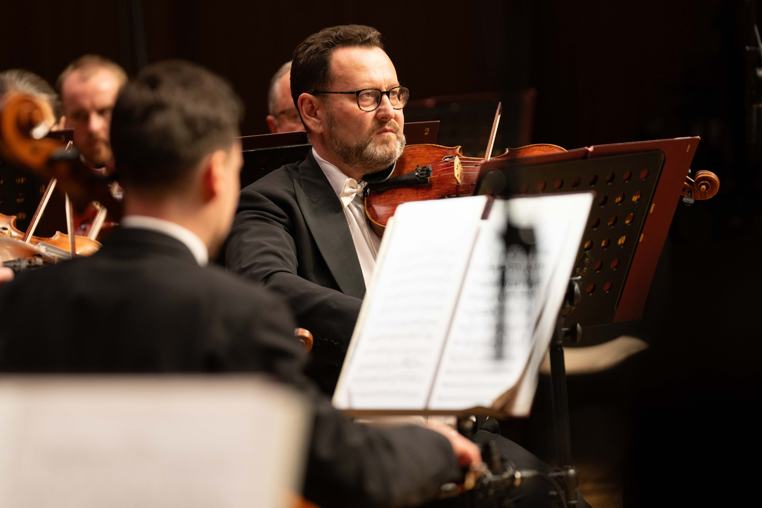 The Tchaikovsky Academic Grand Symphony Orchestra in Baku. Wedding&Event photographer Ismail Rzayev in Baku
