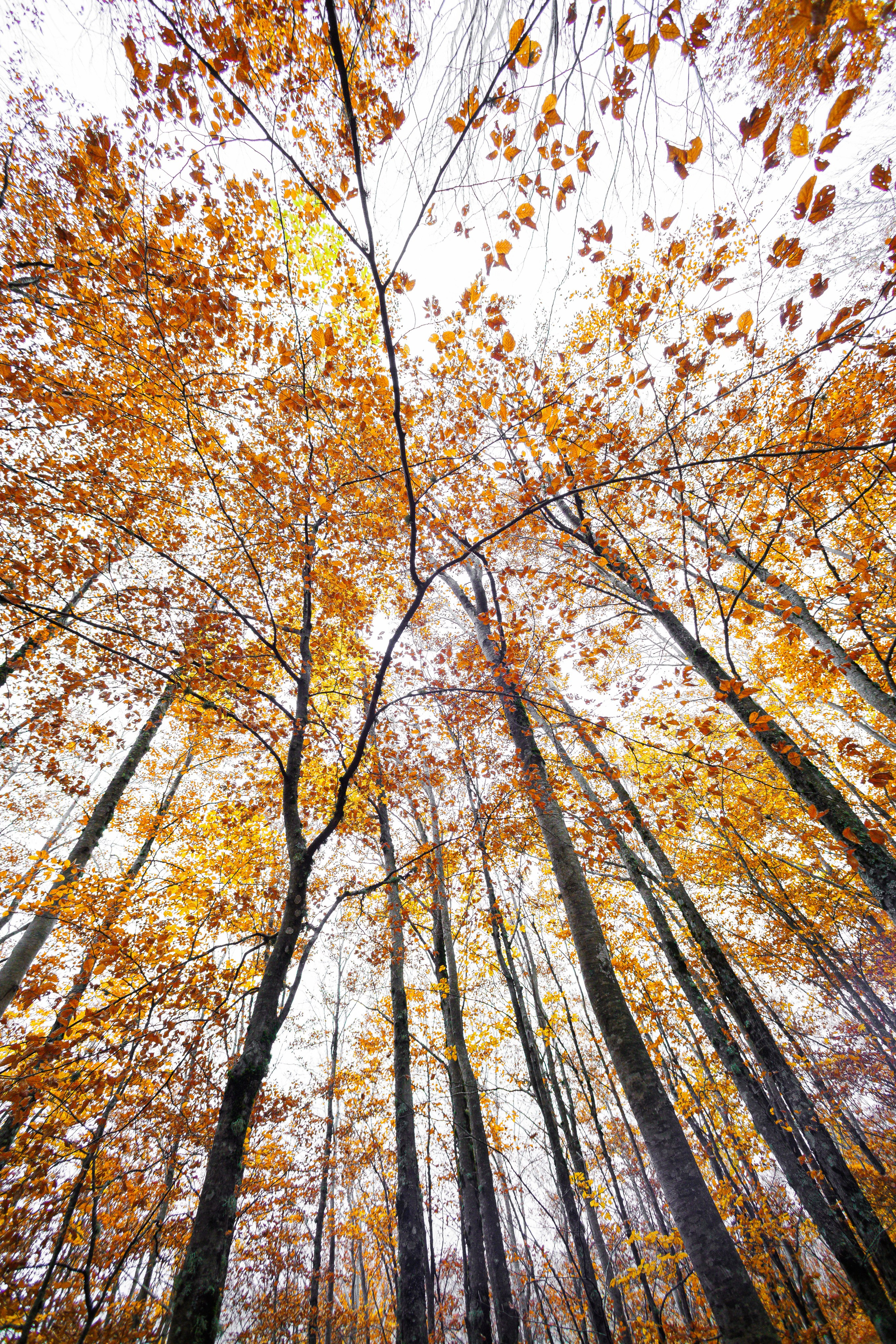 Fotografia de Natureza – Portfólio | Paulo Marques Photography. Paulo Marques Photography