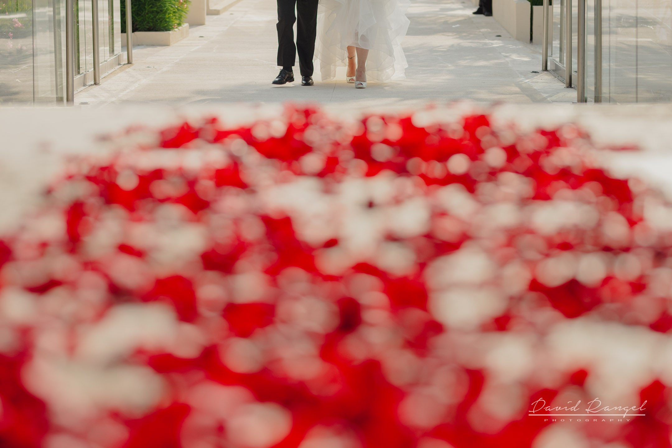 Heather and Benjamin on their destination wedding at Royalton Riviera Cancun. Destination wedding photographer based in Cancun and Riviera Maya with service worldwide