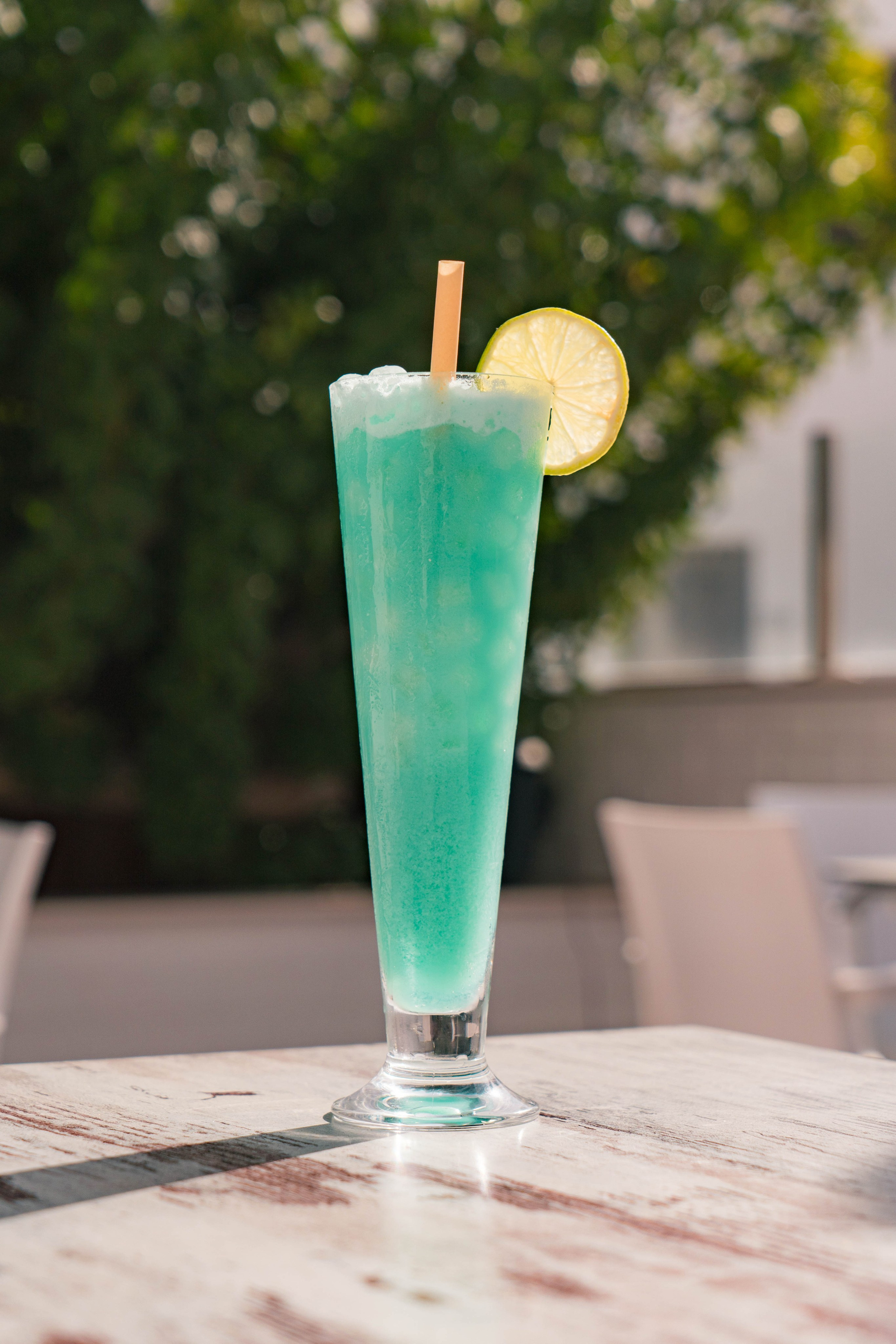 LA TERRACICA. Baby Beast