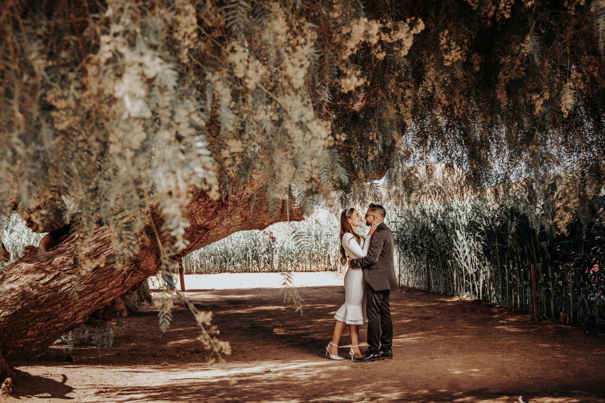 Alma & Ulises (Save The Date). Alex Martínez Fotógrafo | Bodas, retratos y eventos en Tijuana