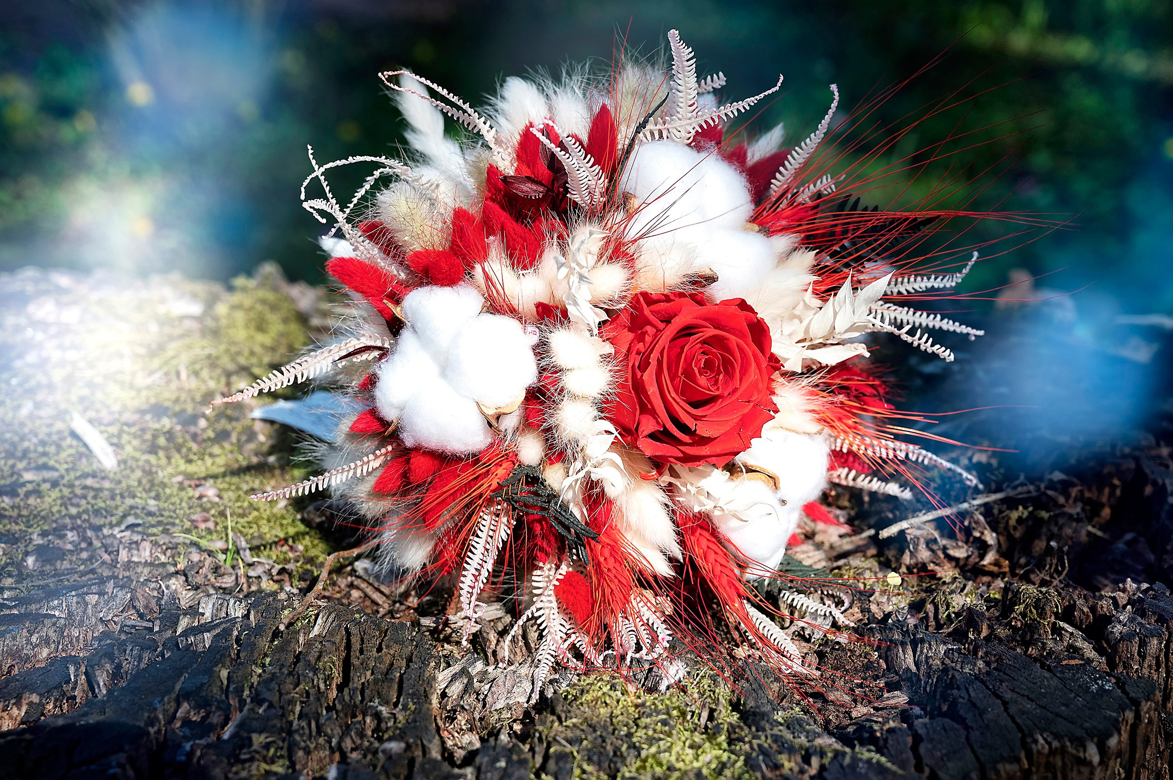 Fotograf Cununie Craiova Pitesti 2024. Fotograf Nunta Craiova