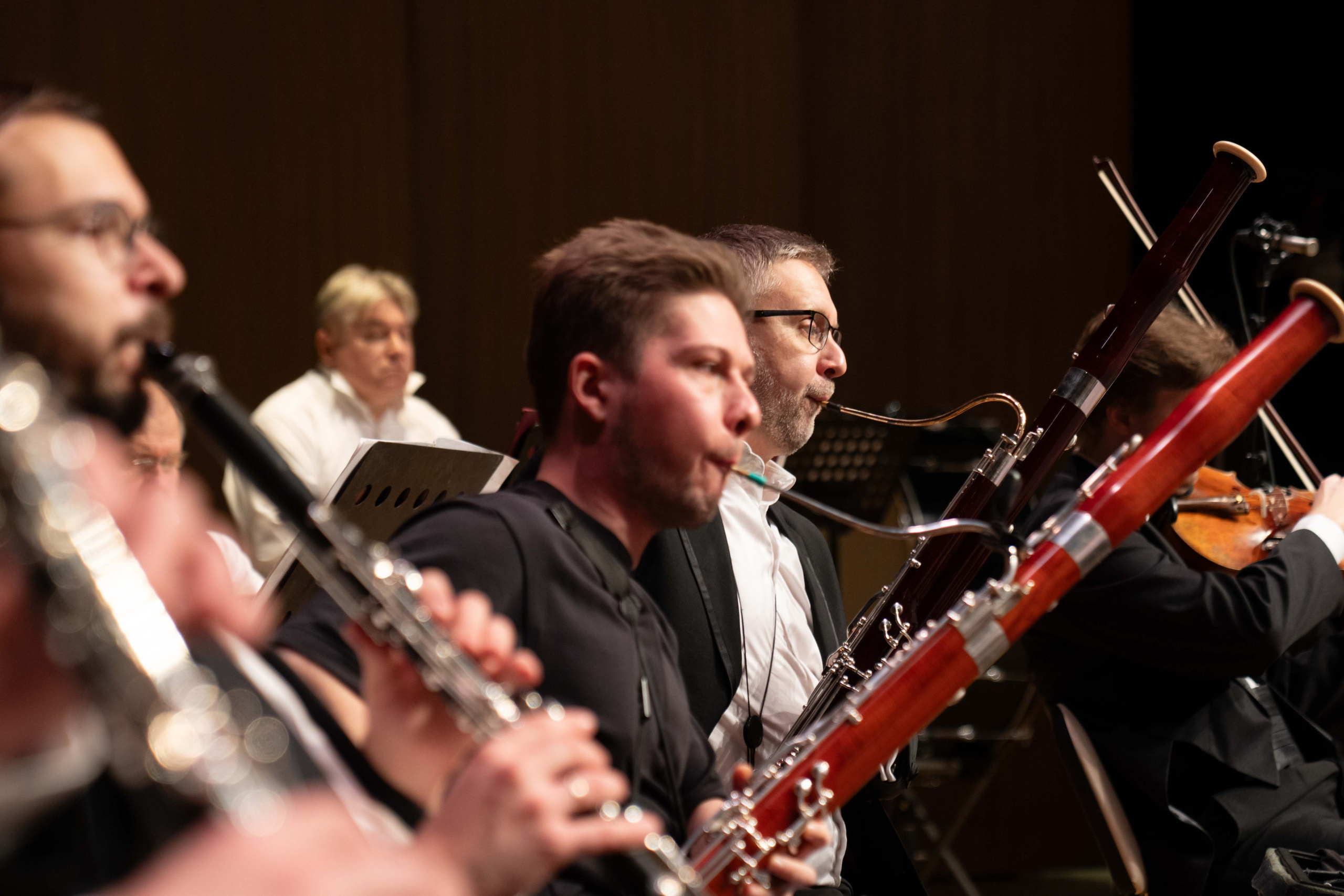 The Tchaikovsky Academic Grand Symphony Orchestra in Baku. Wedding&Event photographer Ismail Rzayev in Baku