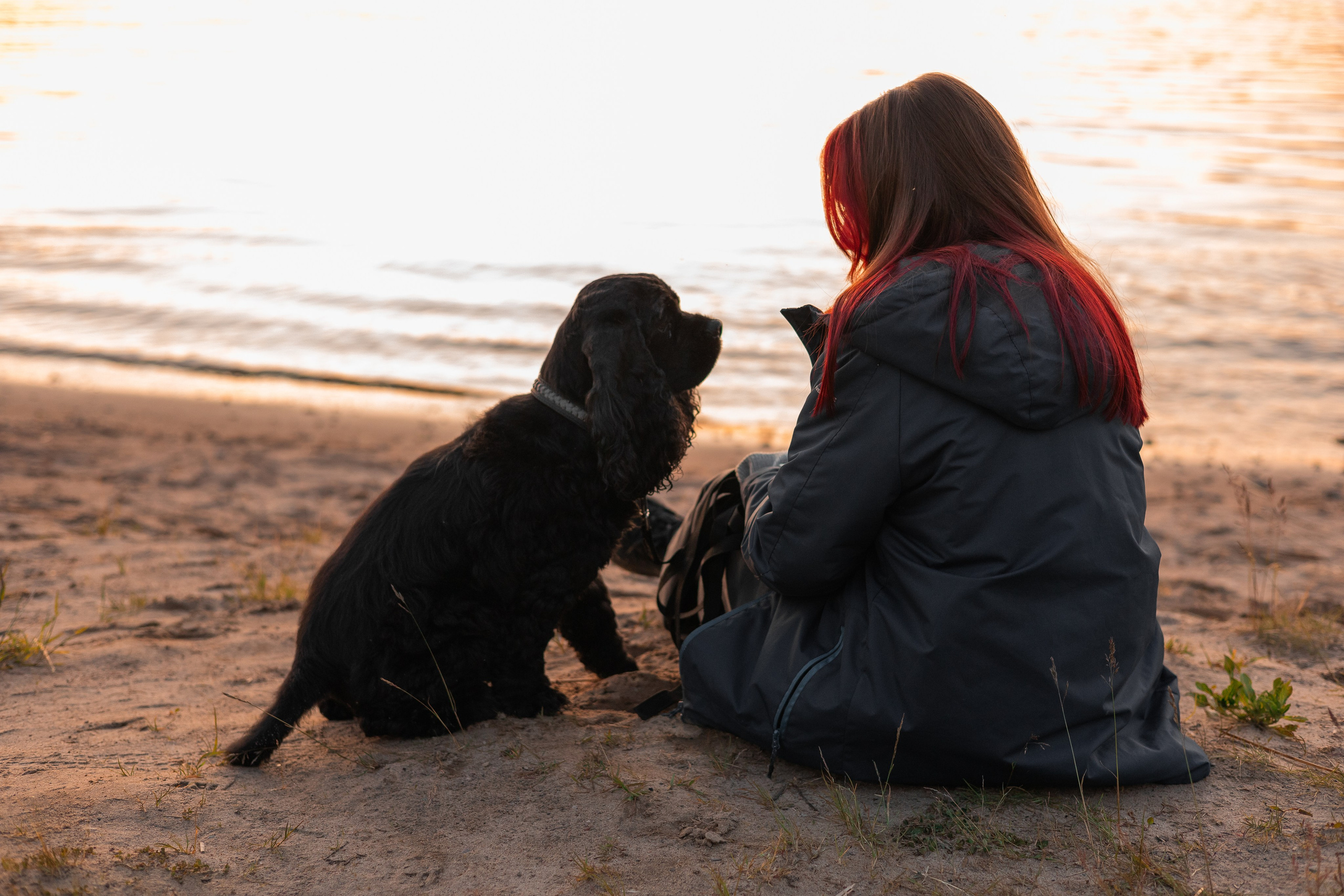 Александр, Катюша и Ендейк. Фотограф-анималист | Белград