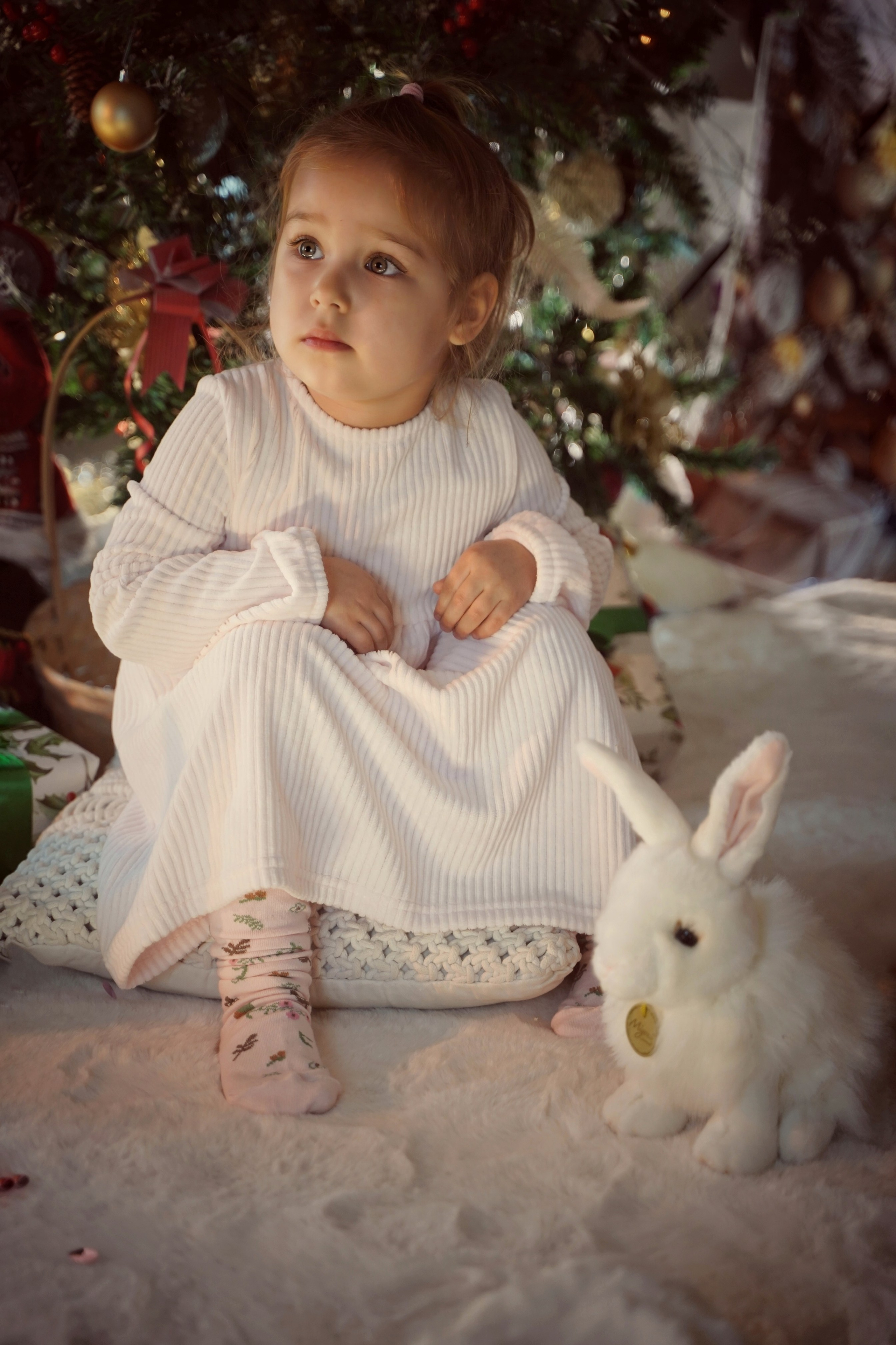 Зайченок. Фотограф. Визуал. Хайфа. Талья Цветкова