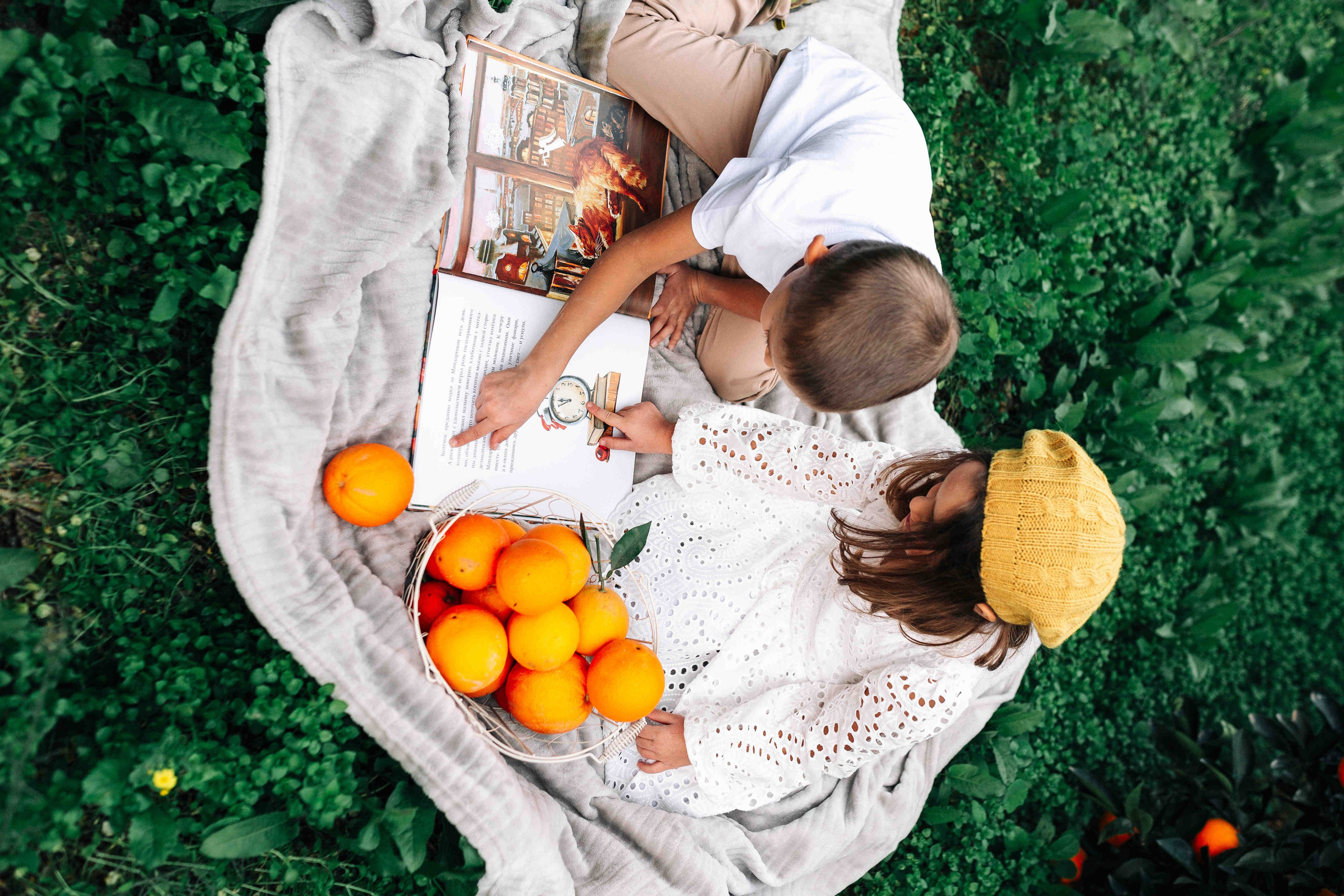 MANDARNINE GARDEN. Https://shi-photo.com/