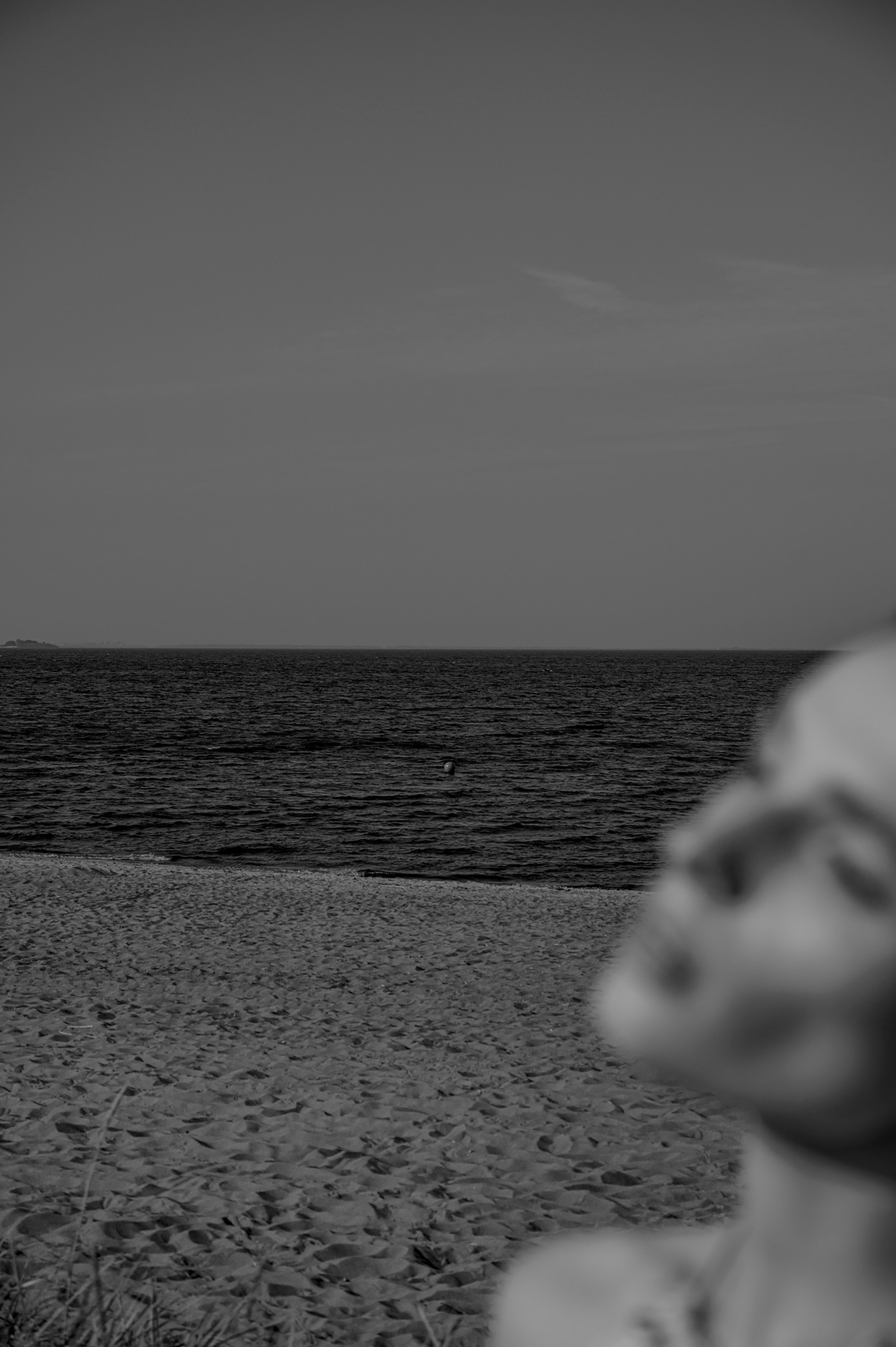 Fotógrafo de retratos en Argentina
