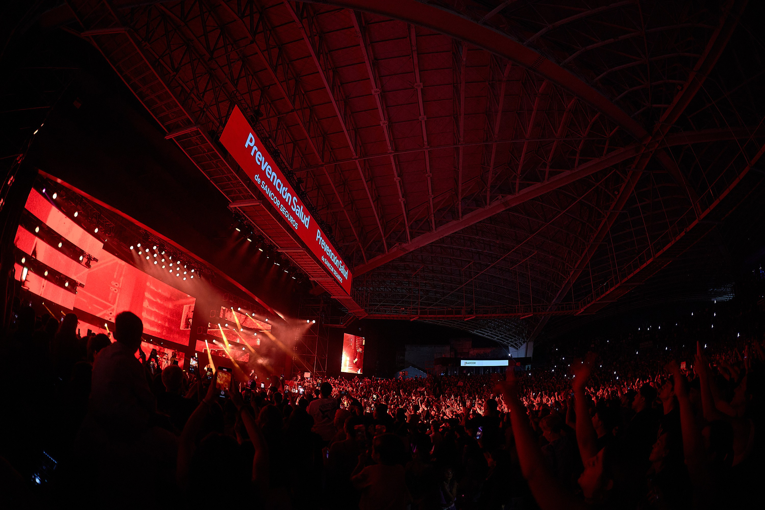 FESTIVAL DE PEÑAS | 2024. Marcos Ferrari Fotógrafo