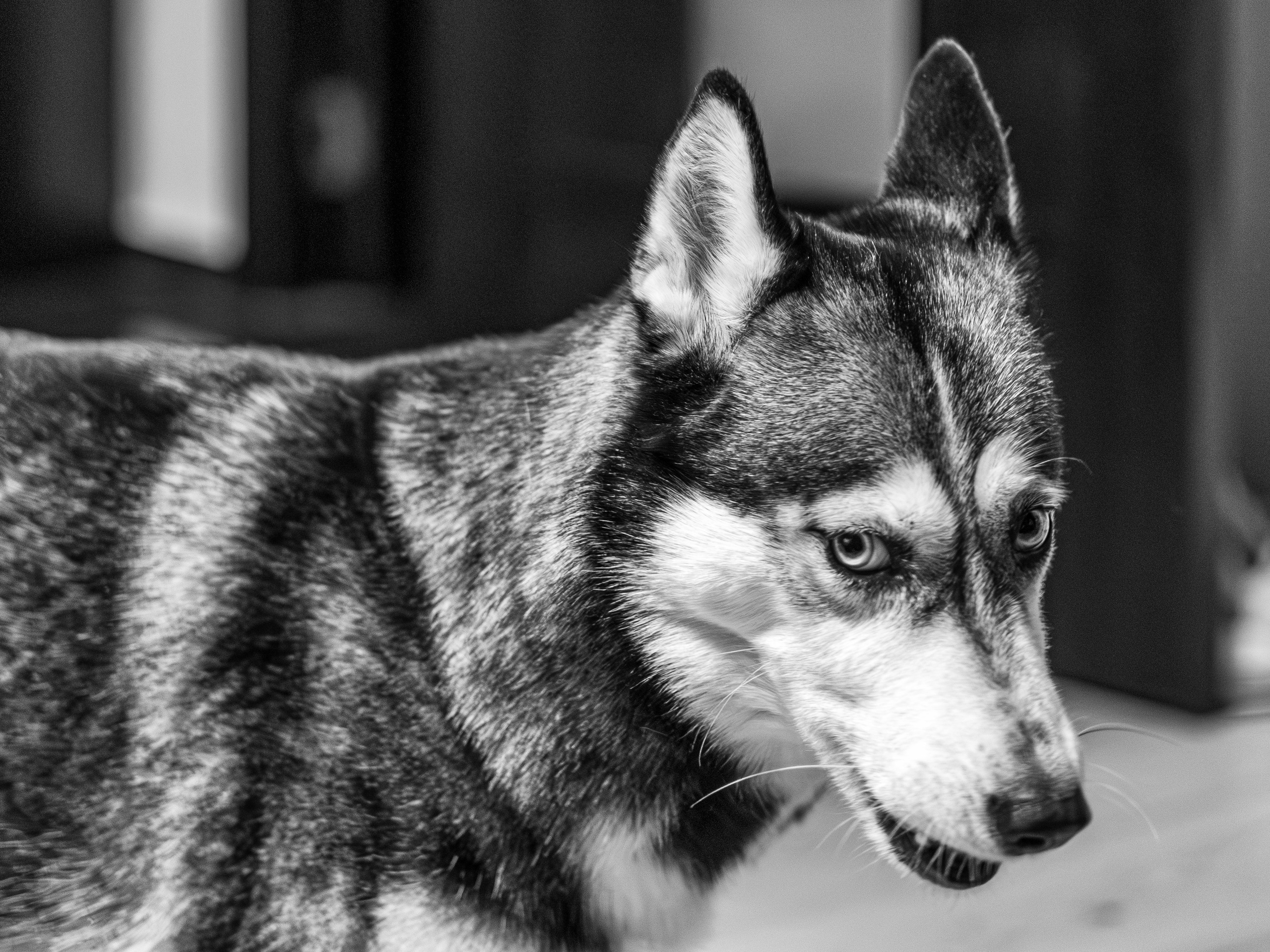 Fotograf Nunta Bucuresti