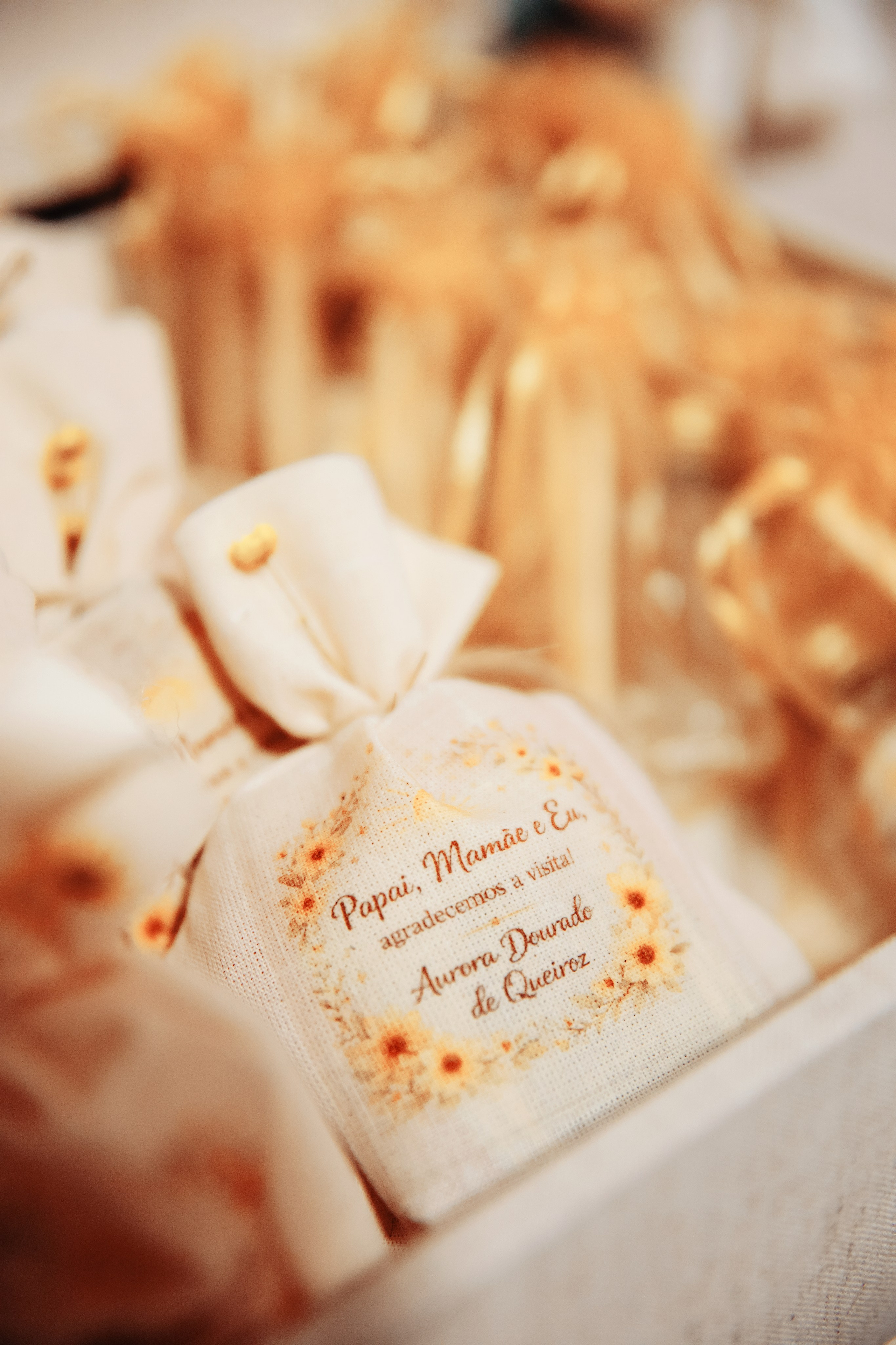 AURORA. Eu Talyssa Mendonça (Fotógrafa, Goiânia — GO)