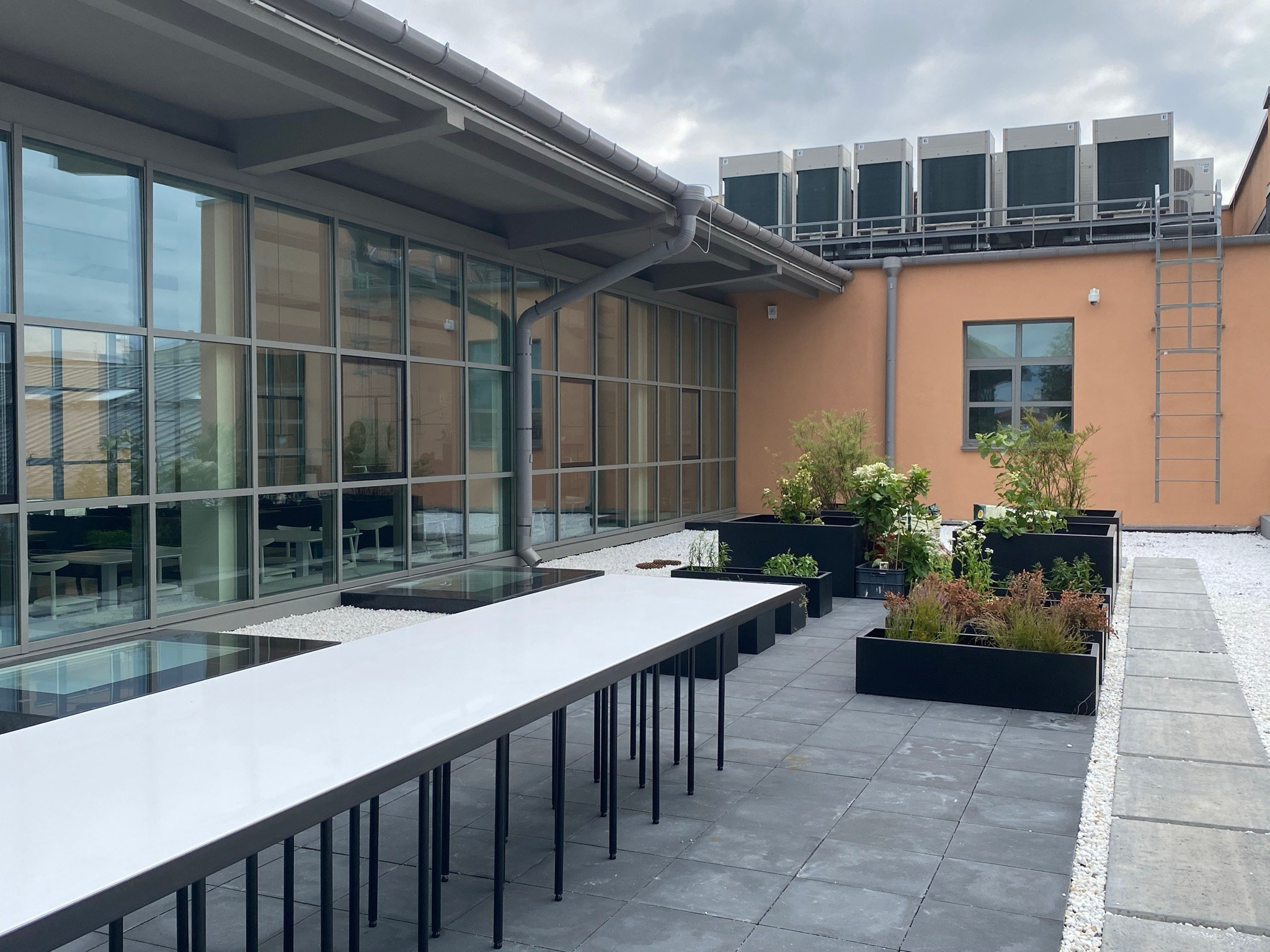 Коммерческие проекты Марии Тарлецкой. Скульптор кузнец Мария Тарлецкая