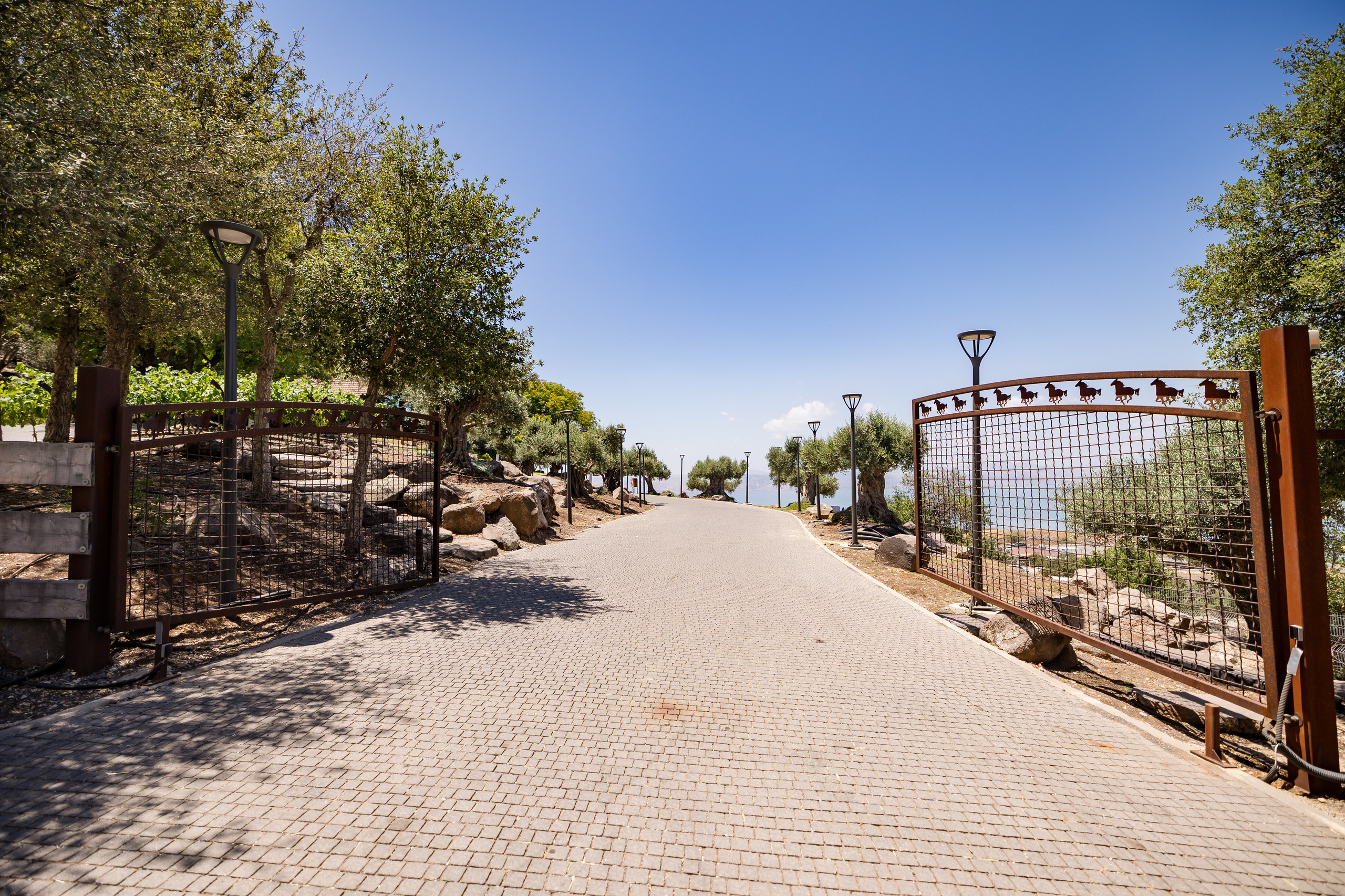 Omar & Nimrod. AMIR BUCHNIK PHOTOGRAPHER