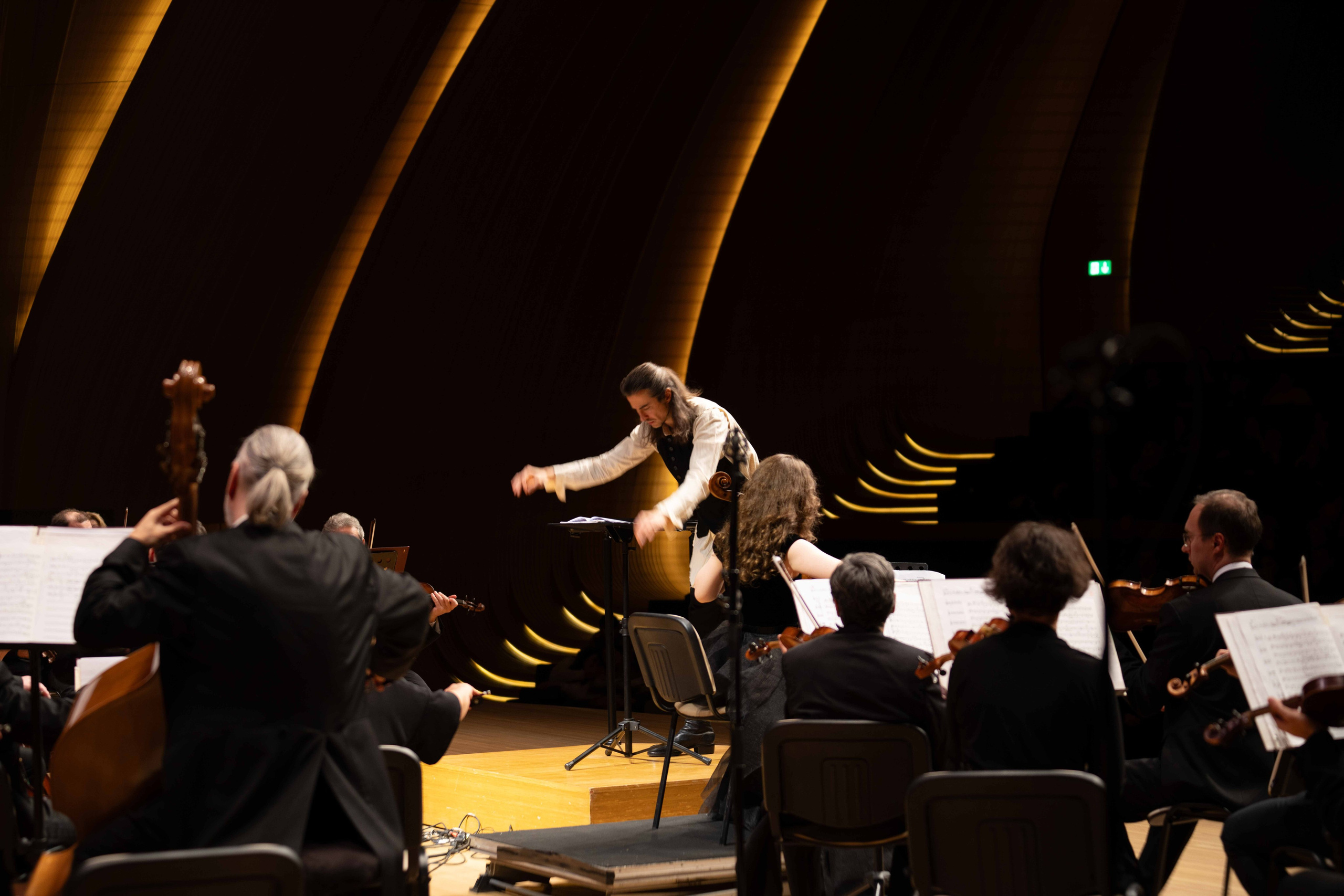 The Tchaikovsky Academic Grand Symphony Orchestra in Baku. Wedding&Event photographer Ismail Rzayev in Baku