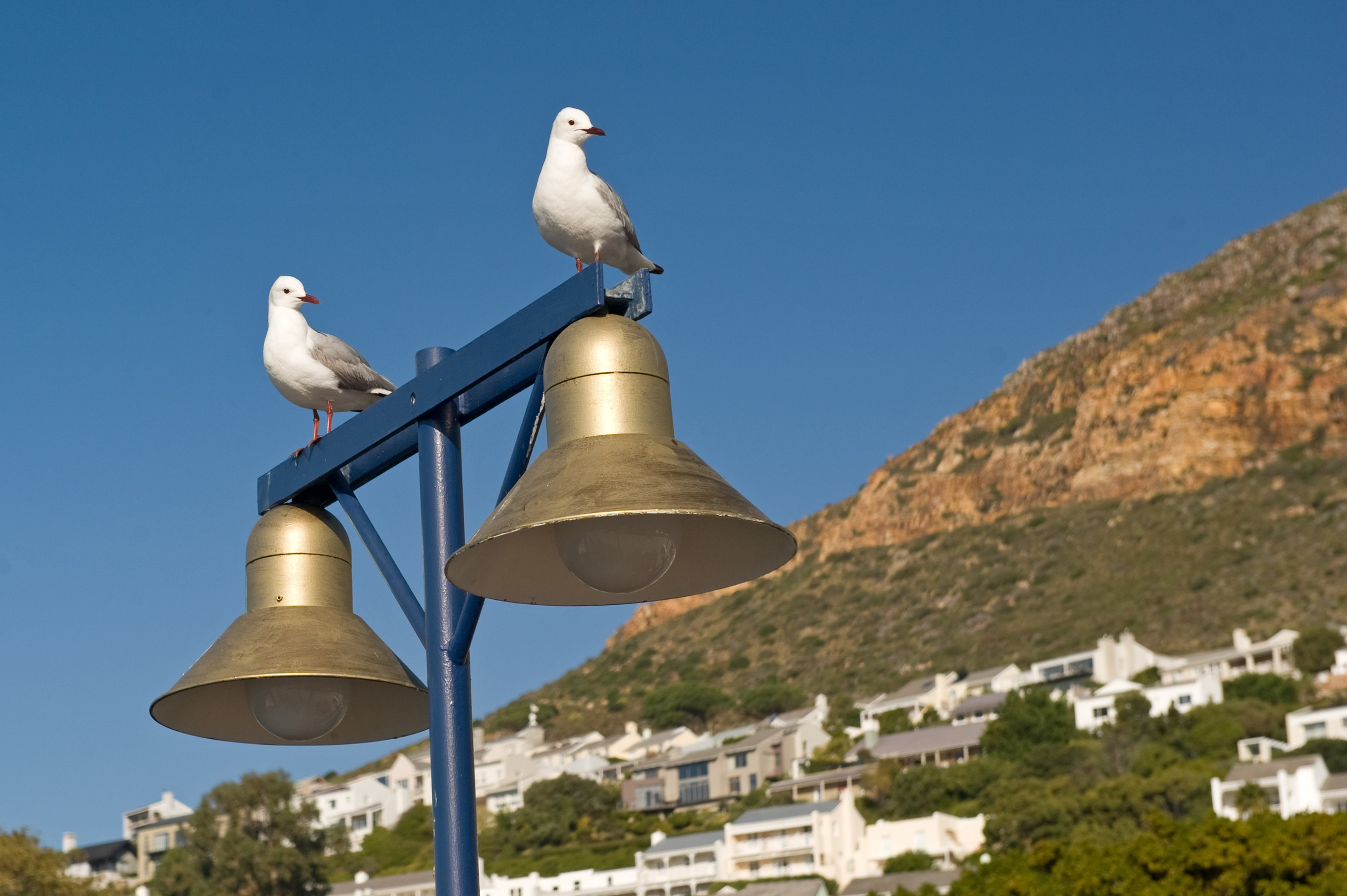 ТРЕВЕЛ. Фотограф и преподаватель фотографии в Белграде