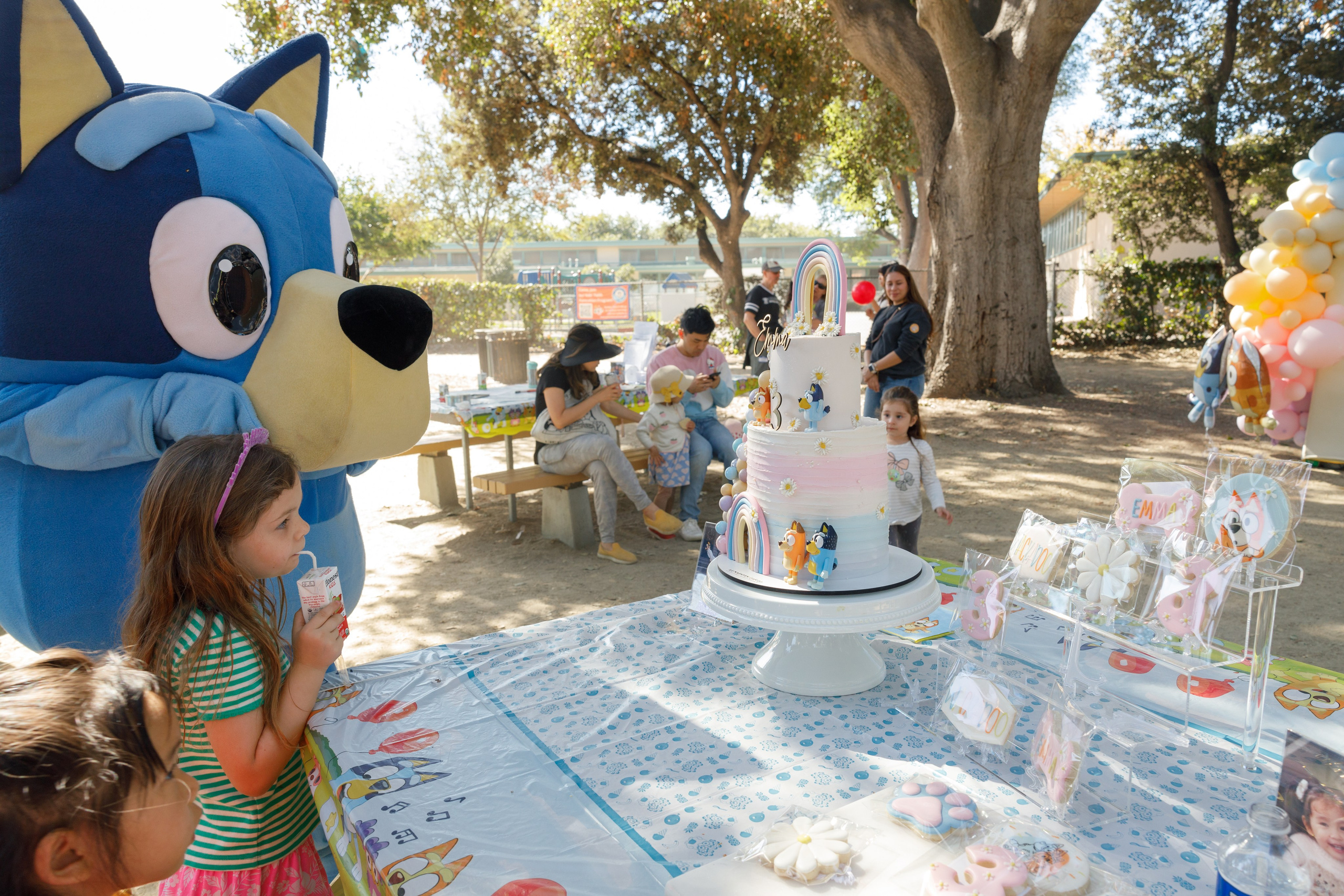 3rd birthday. Family and Event photographer in Bay Area Elena Tiuriumina
