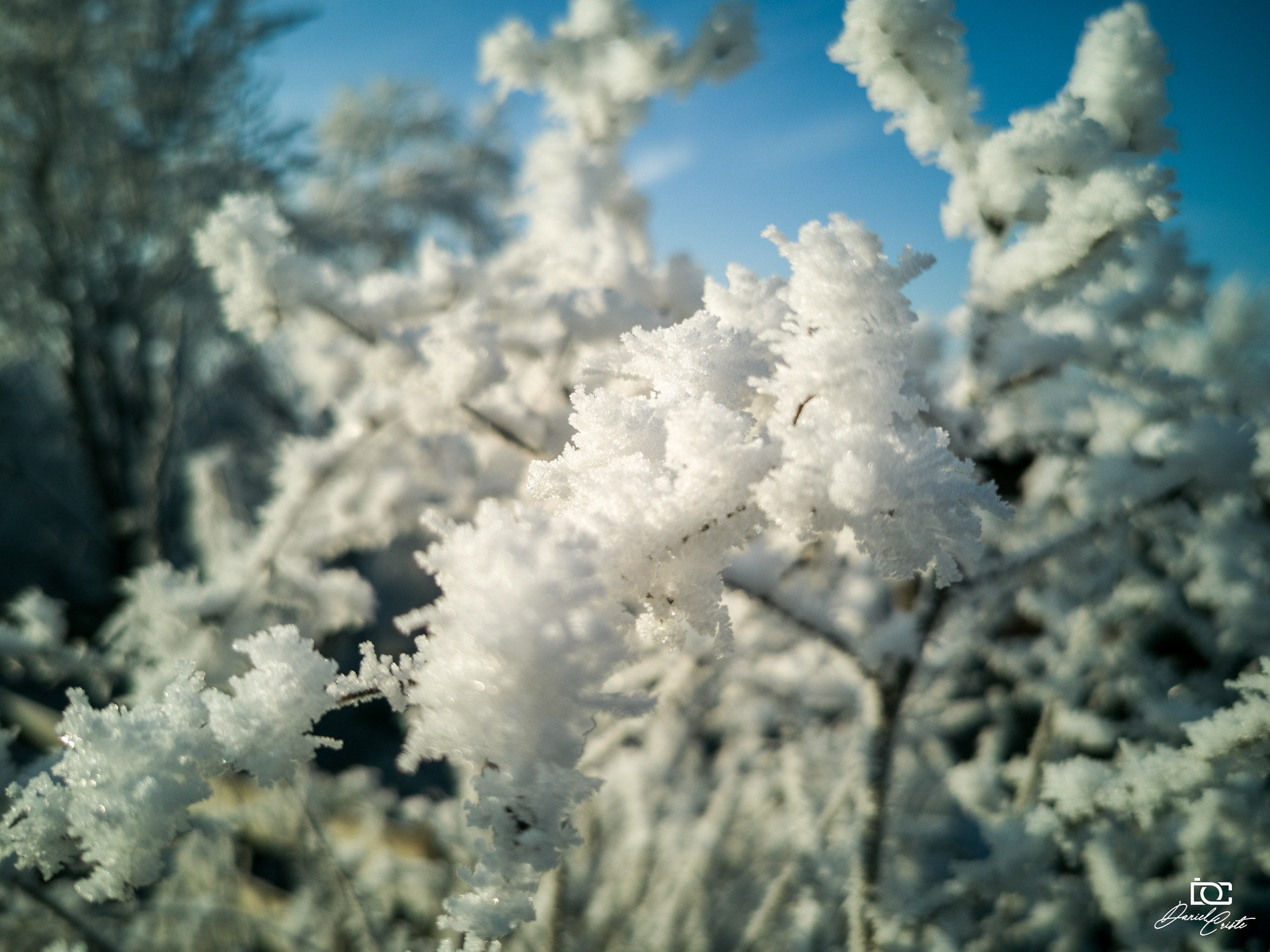 Peisaj /natura. Daniel Criste Fotograf