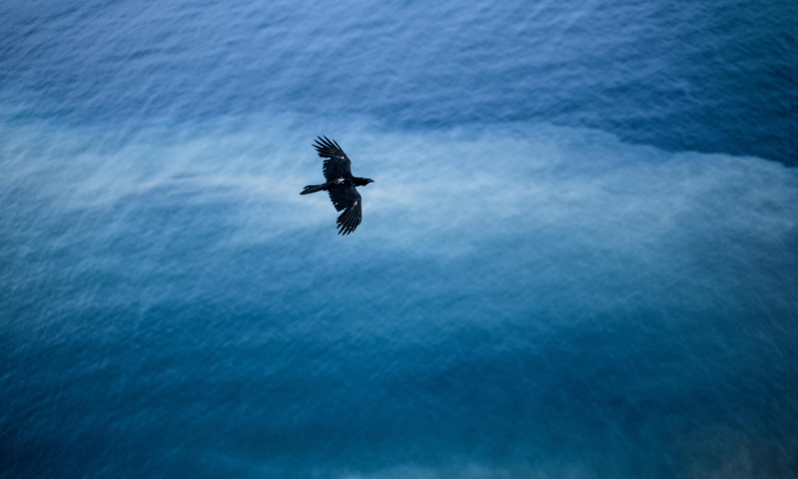 TRAVEL & LANDSCAPES. Photographer Phuket