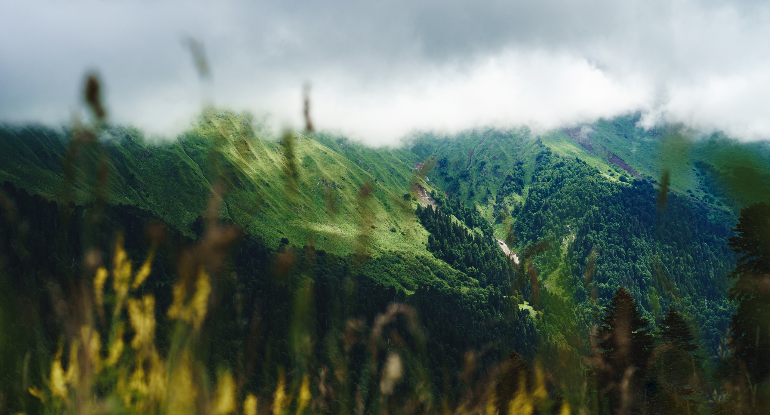 TRAVEL & LANDSCAPES. Photographer Phuket