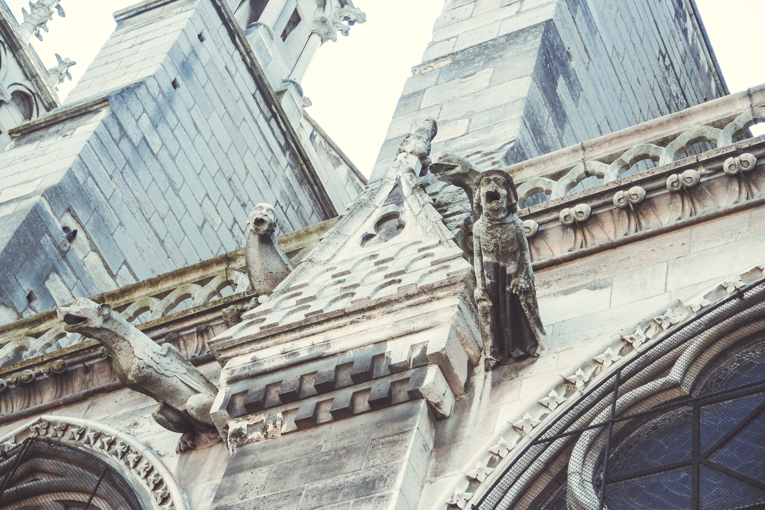 Увидеть Париж десять лет спустя. Фотограф в Германии — Мария Чистякова