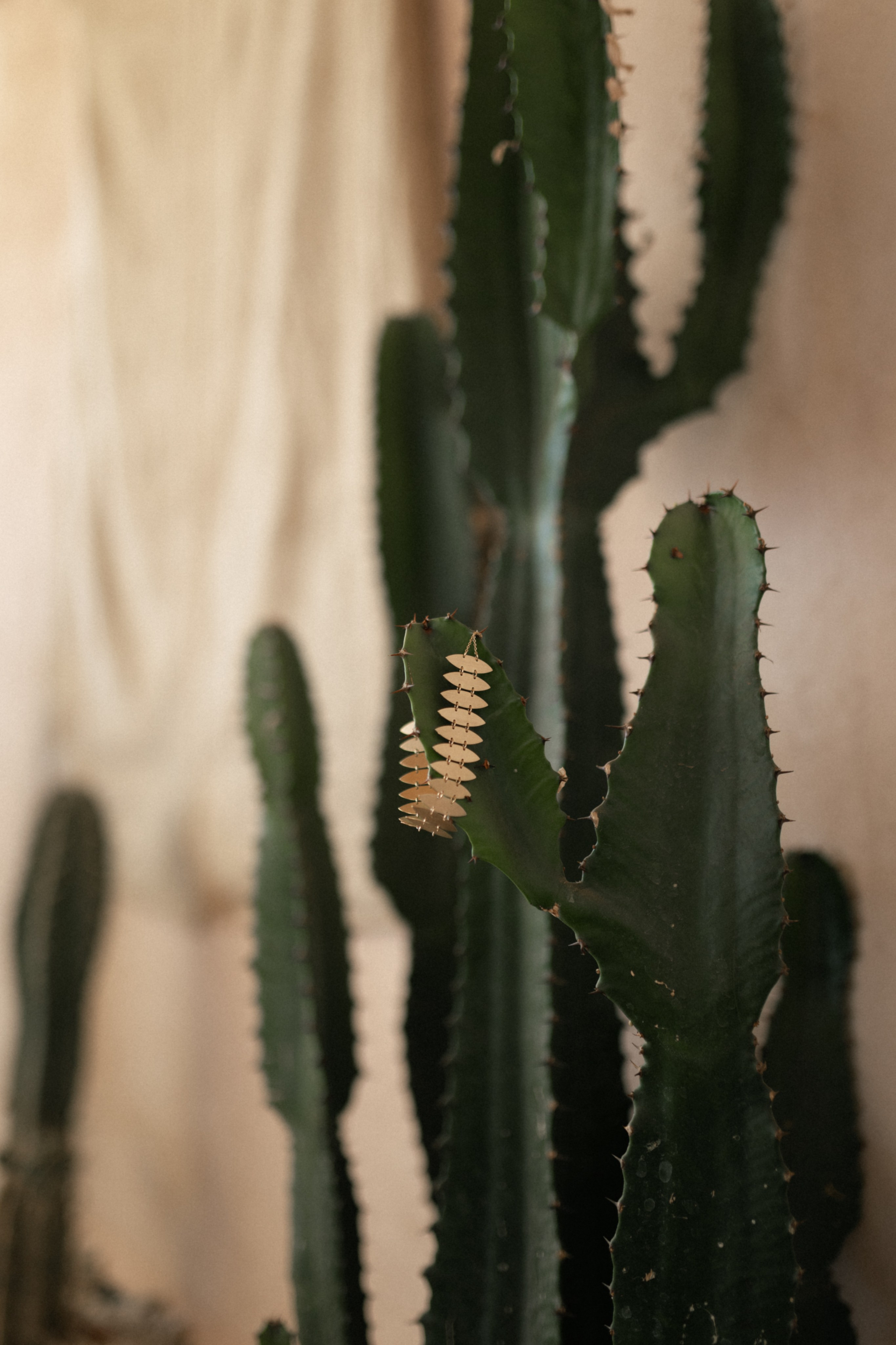 Morrocan dream. Patricia Morenci — Mountain Adventures for the Wild at Heart